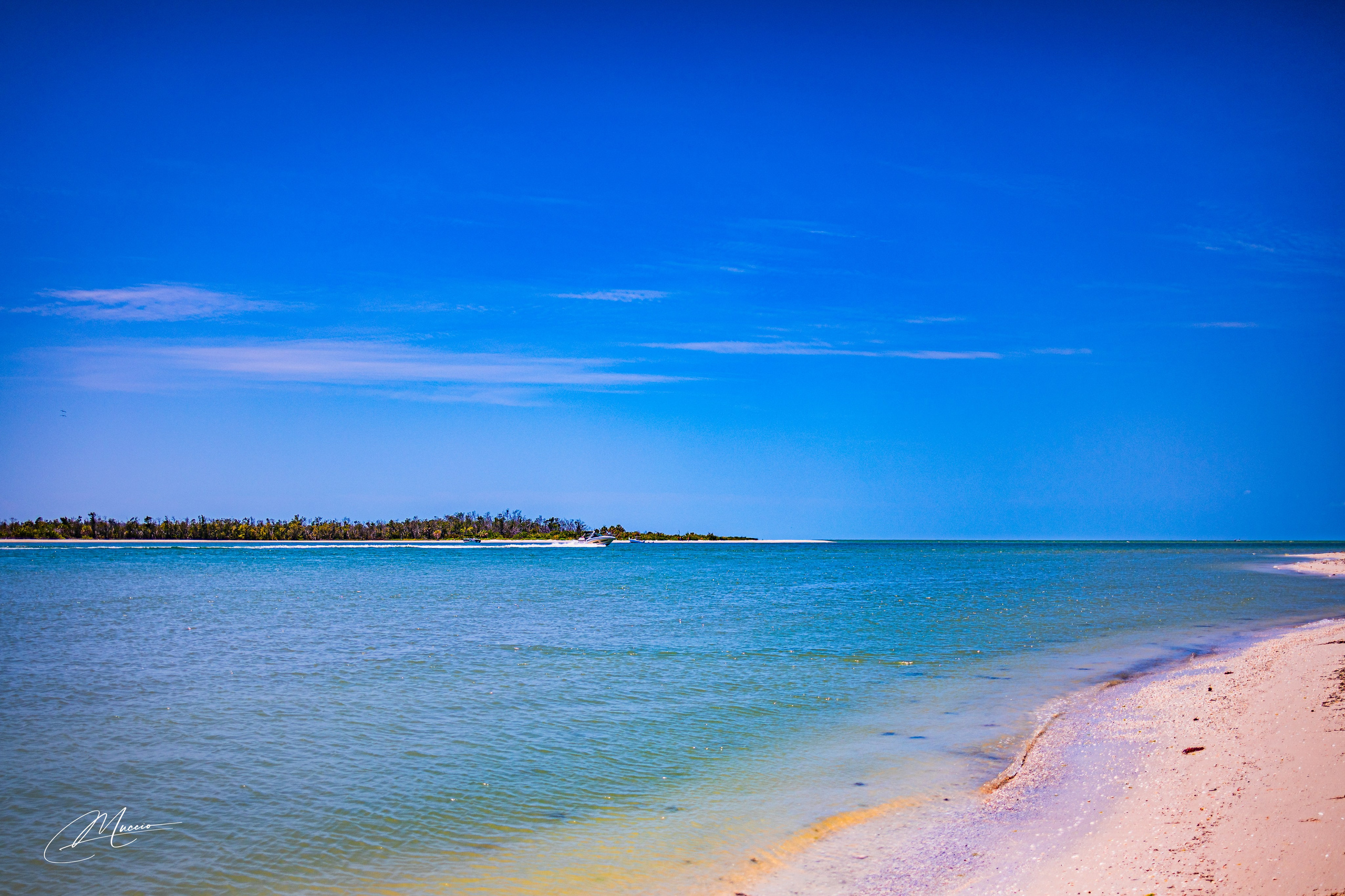 Fort Myers. Out and About 239