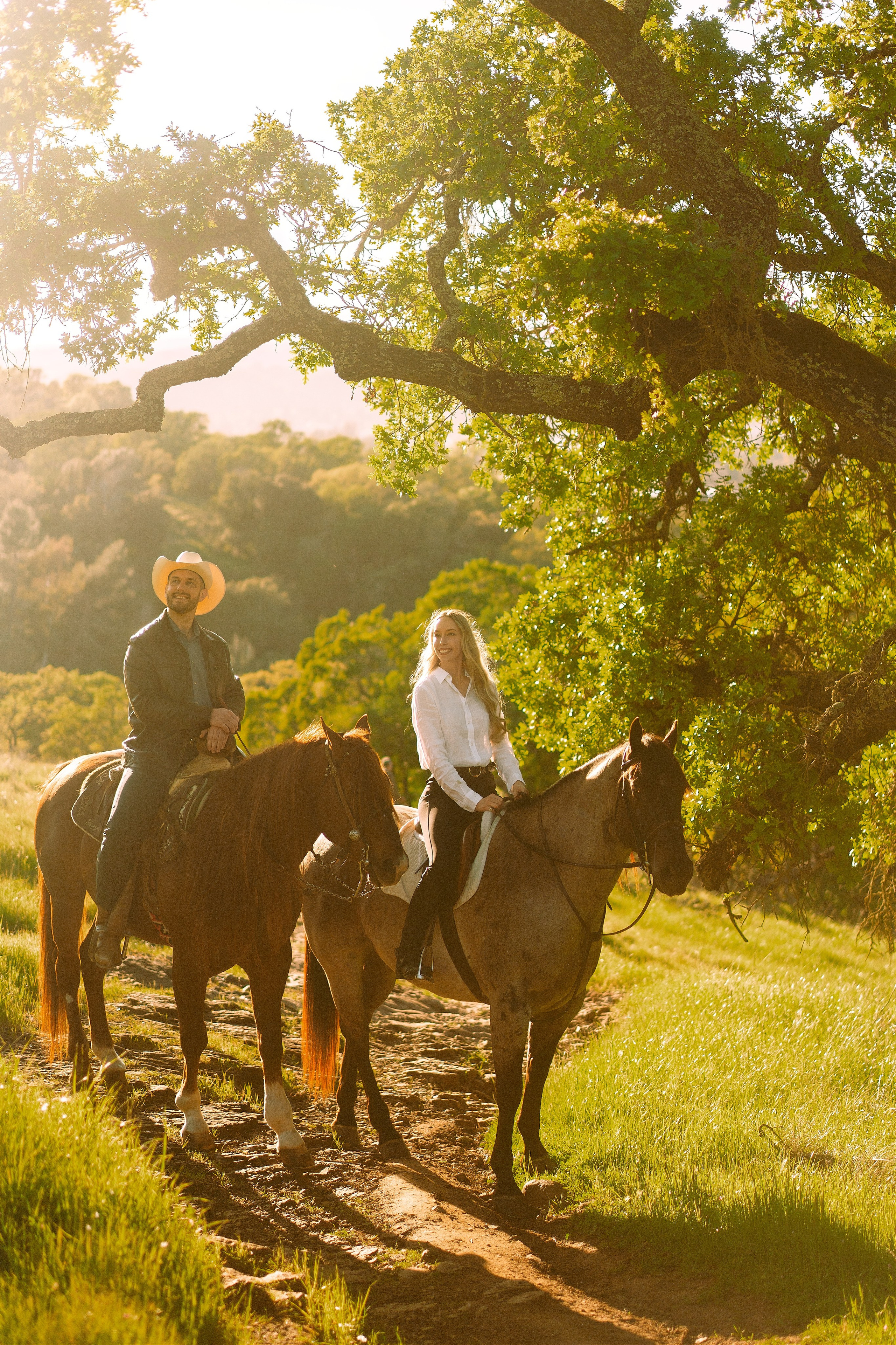 Engagement with Horses, Napa, Northern California. Wedding Photography & Videography Team in California, Los Angeles, San Francisco, San Diego and Travel