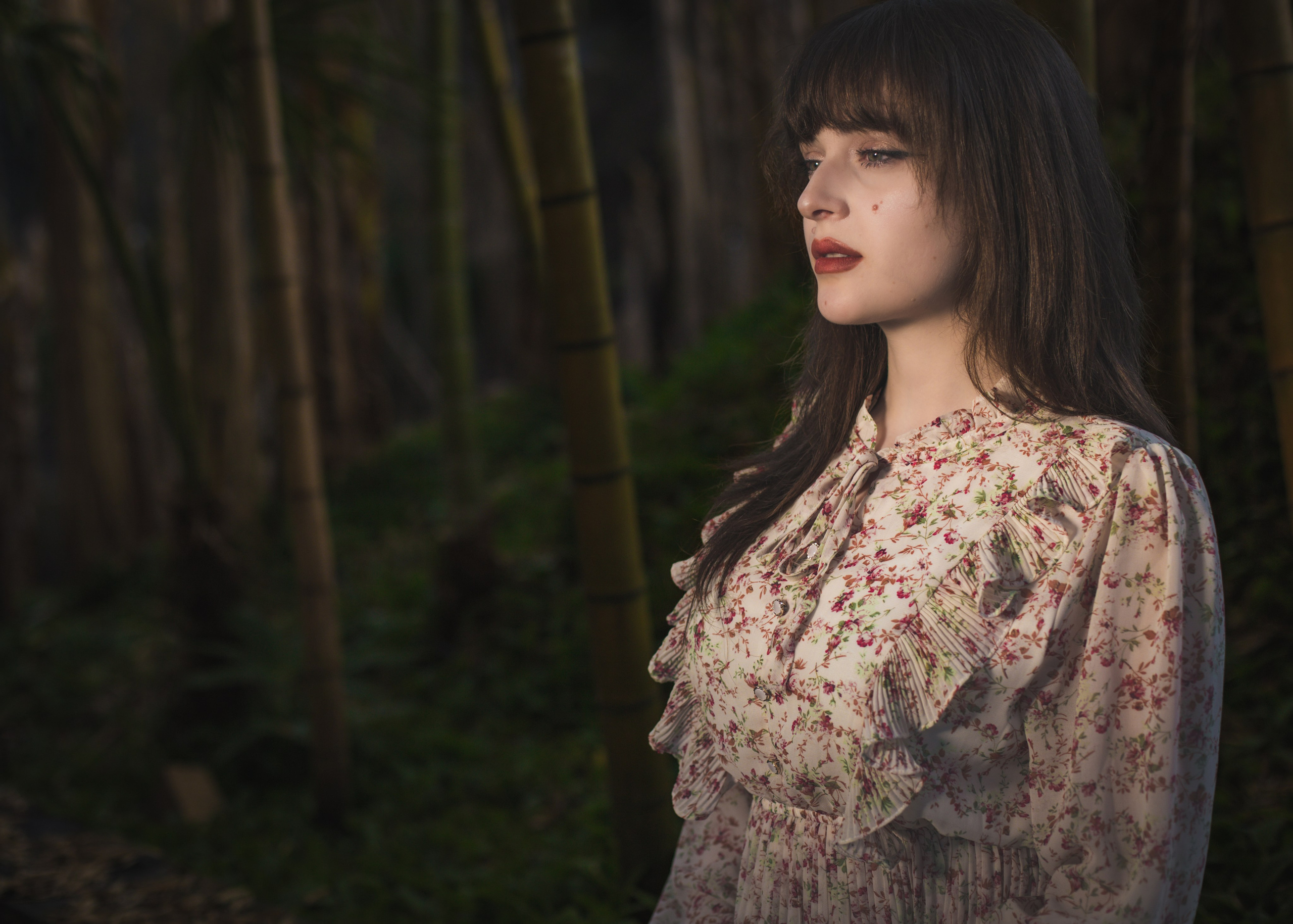 Individual. PHOTOSTORYNIKA