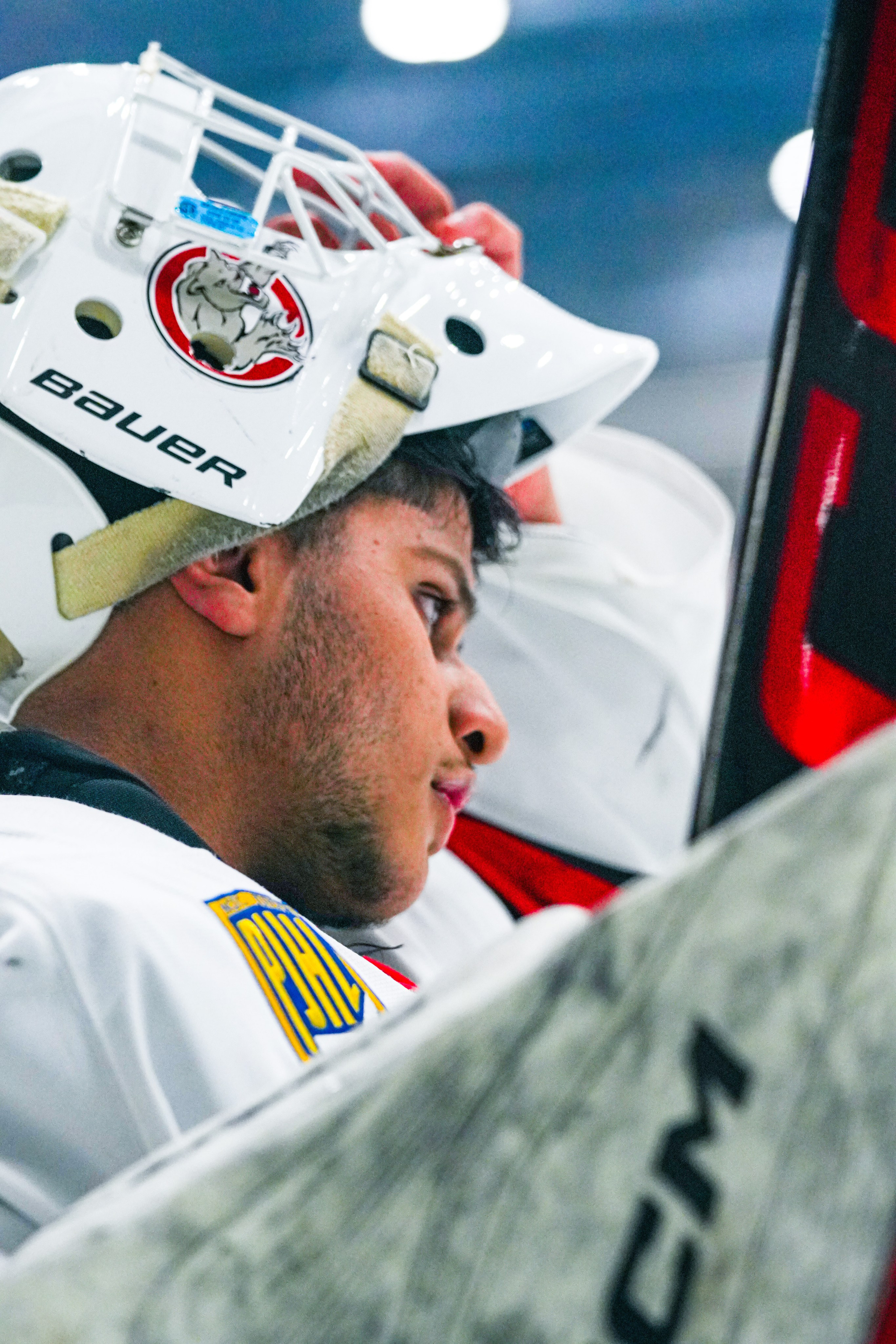 Shuttergry Photography