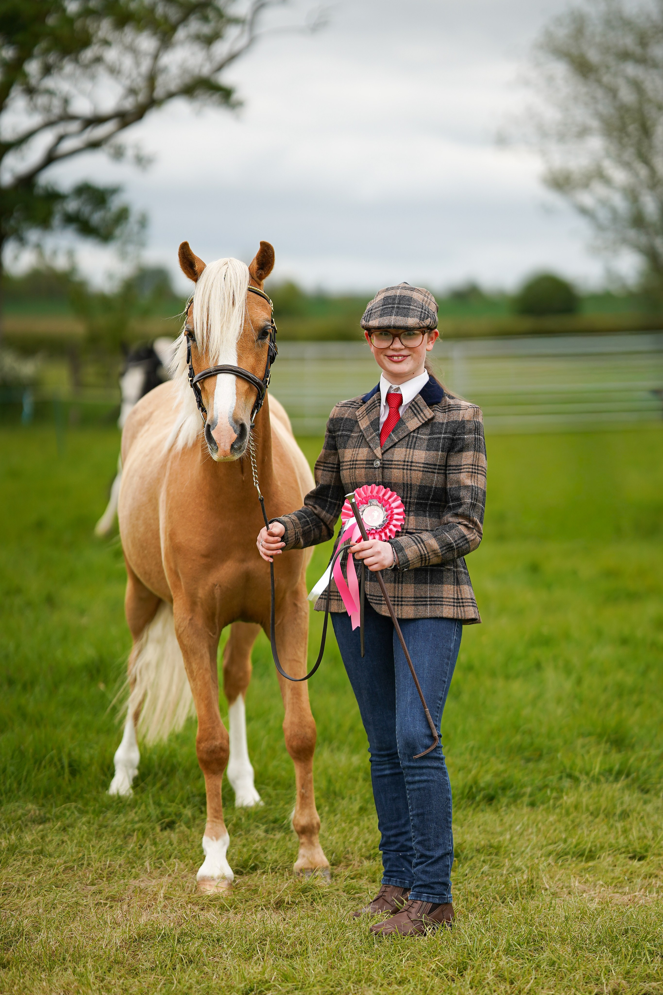 Showing. Leicestershire Equine Photography by El | Authentic Equine Portraits & Events