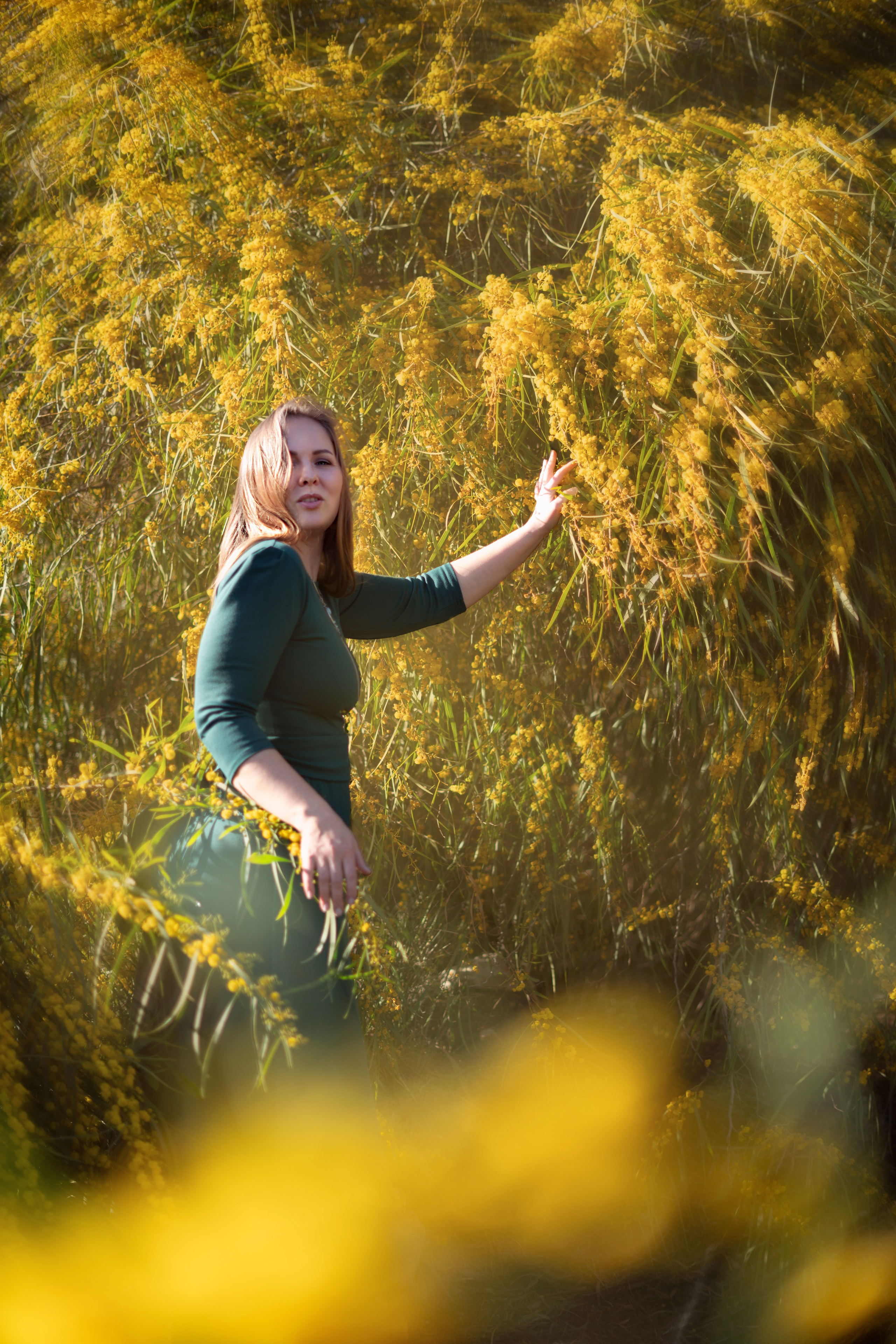 Мимоза. Анастасия Благова — Твой фотограф в Малаге 🇪🇸