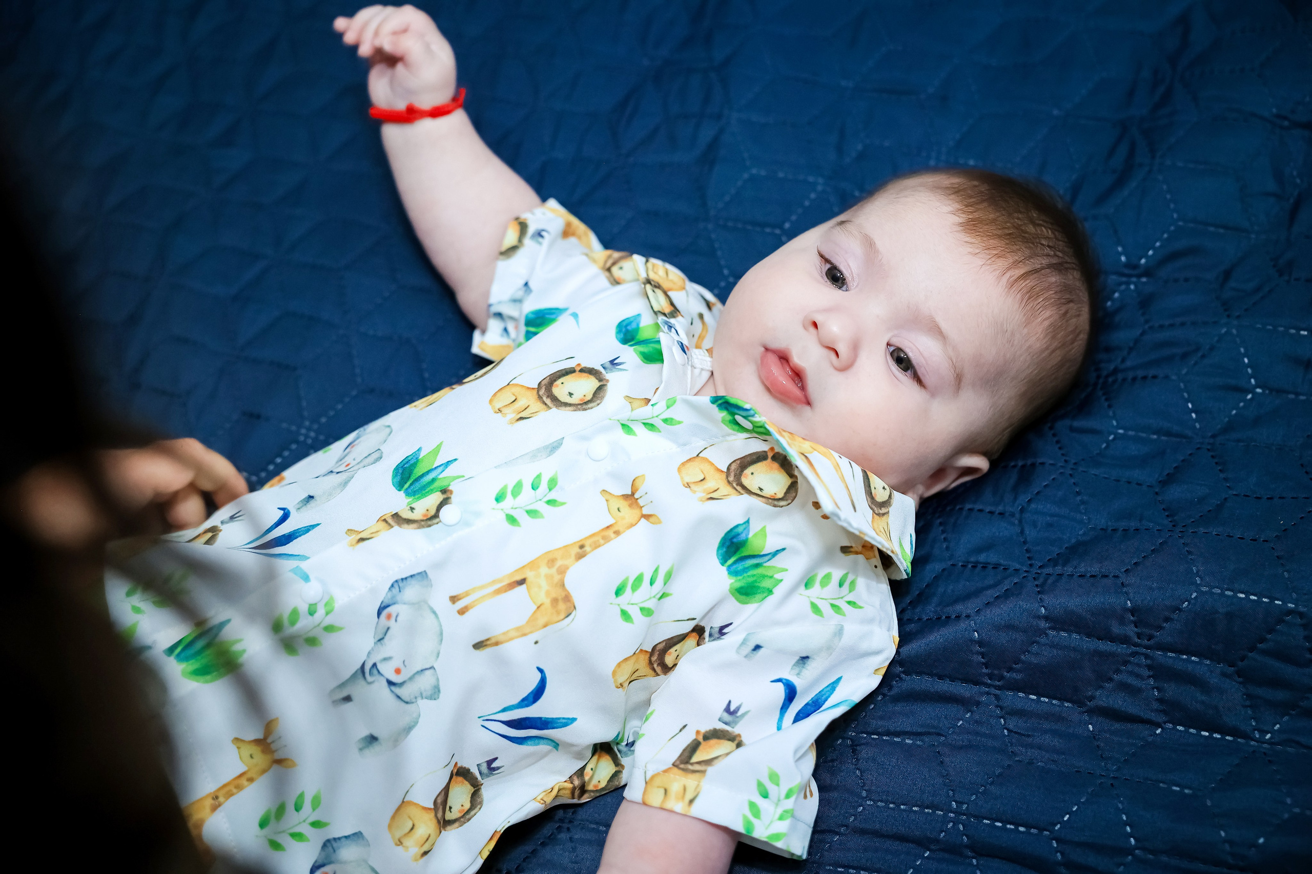 Andrei Damian. Moments By Gub