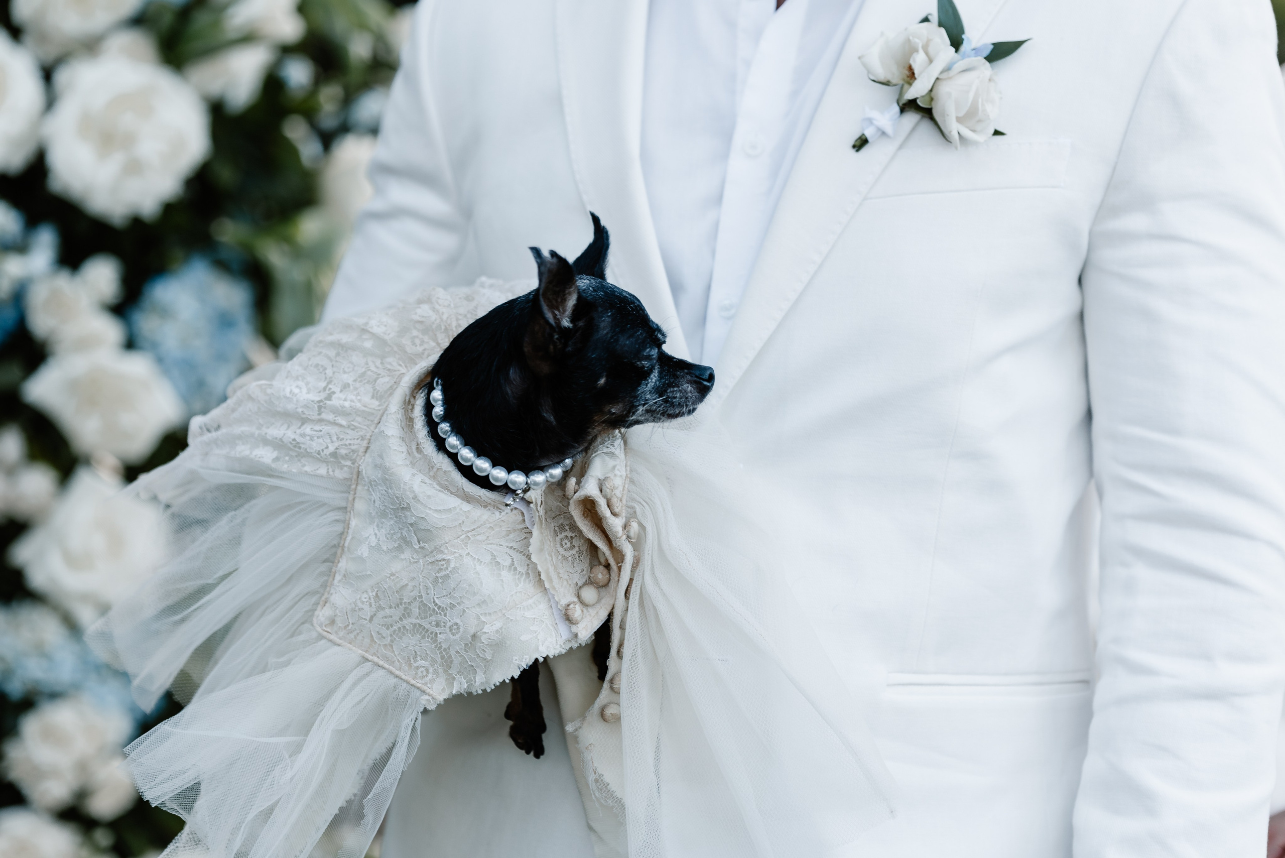 Timeless Romance | Joanna & Leo’s Wedding at the Ancient Spanish Monastery. YES I DO PRODUCTION — Wedding photography&videography