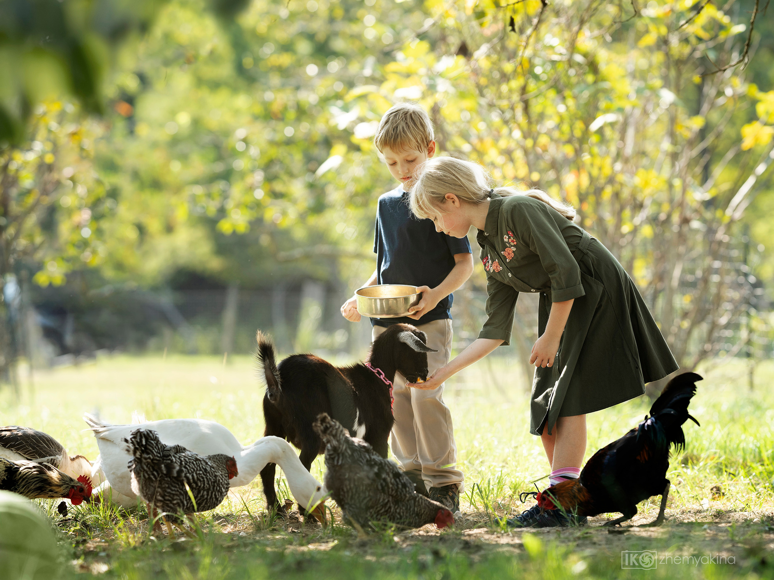 On the farm 09-13-2020. Photographer Irina Kozhemyakina. Houston