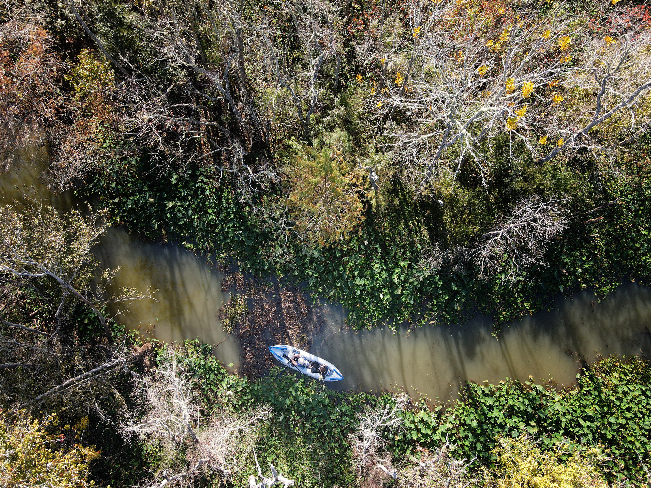 Martin Dies, Jr. State Park, 11/24-25/2020. Photographer Irina Kozhemyakina. Houston