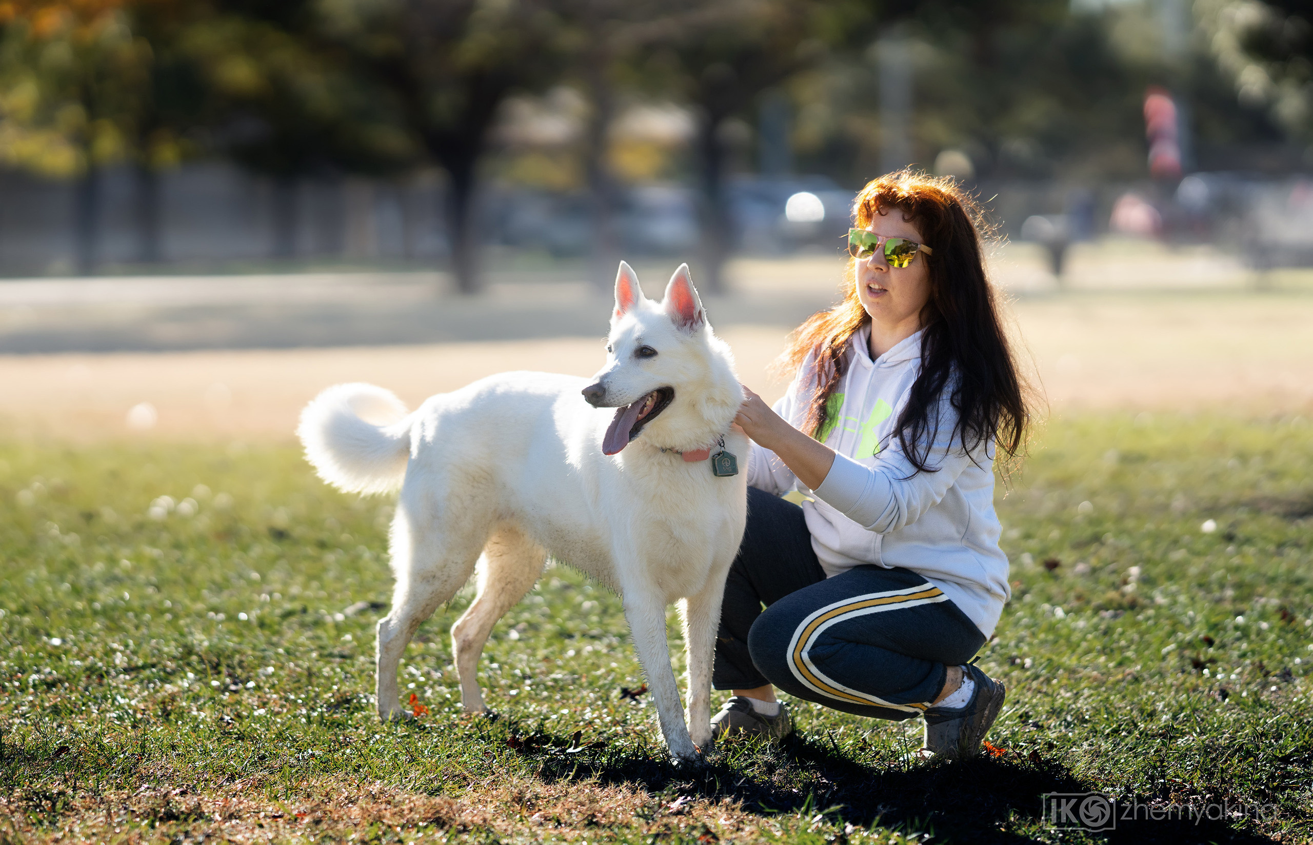 Bella White Shepherd. Photographer Irina Kozhemyakina. Houston