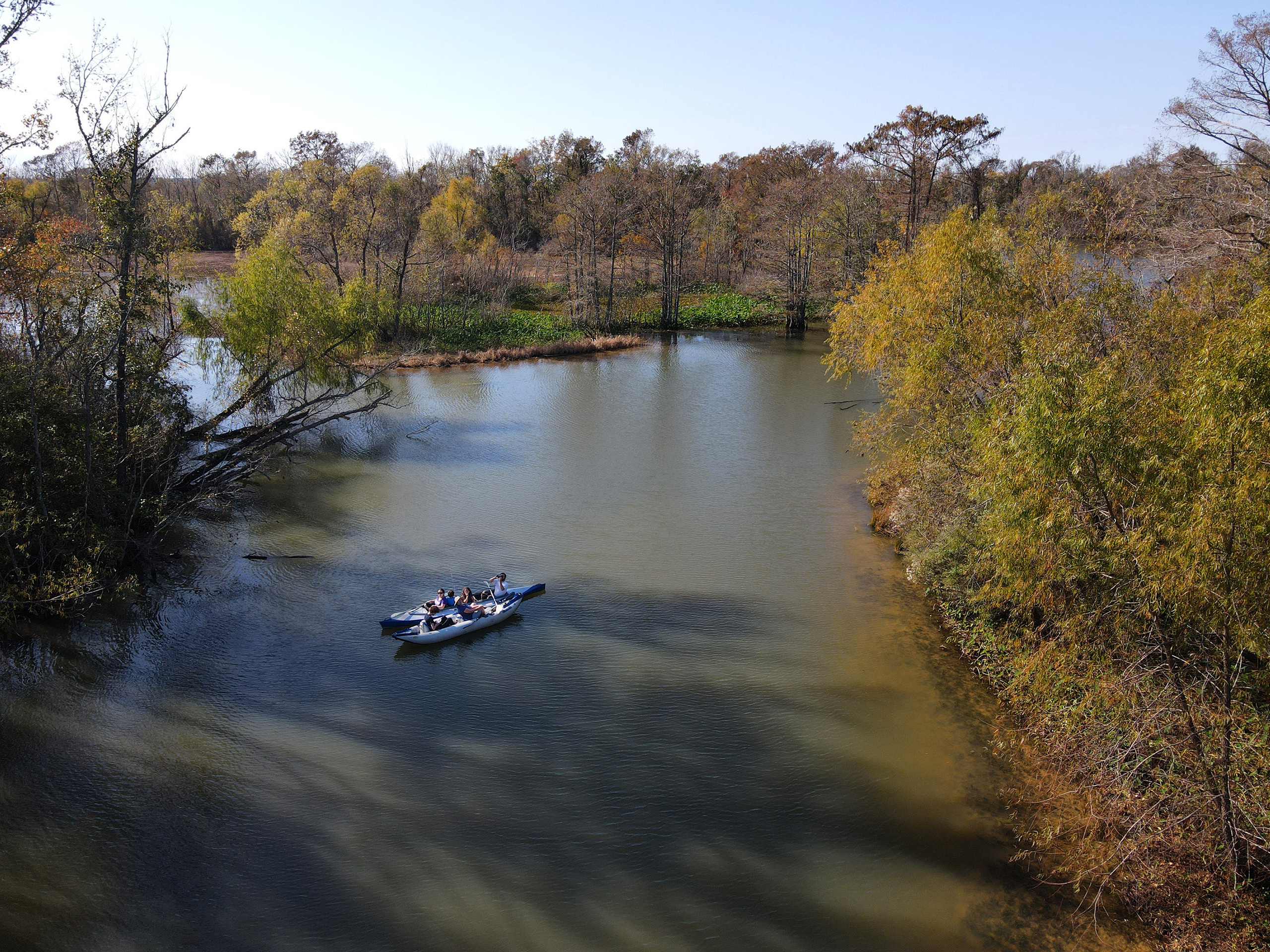 Martin Dies, Jr. State Park, 11/24-25/2020. Photographer Irina Kozhemyakina. Houston