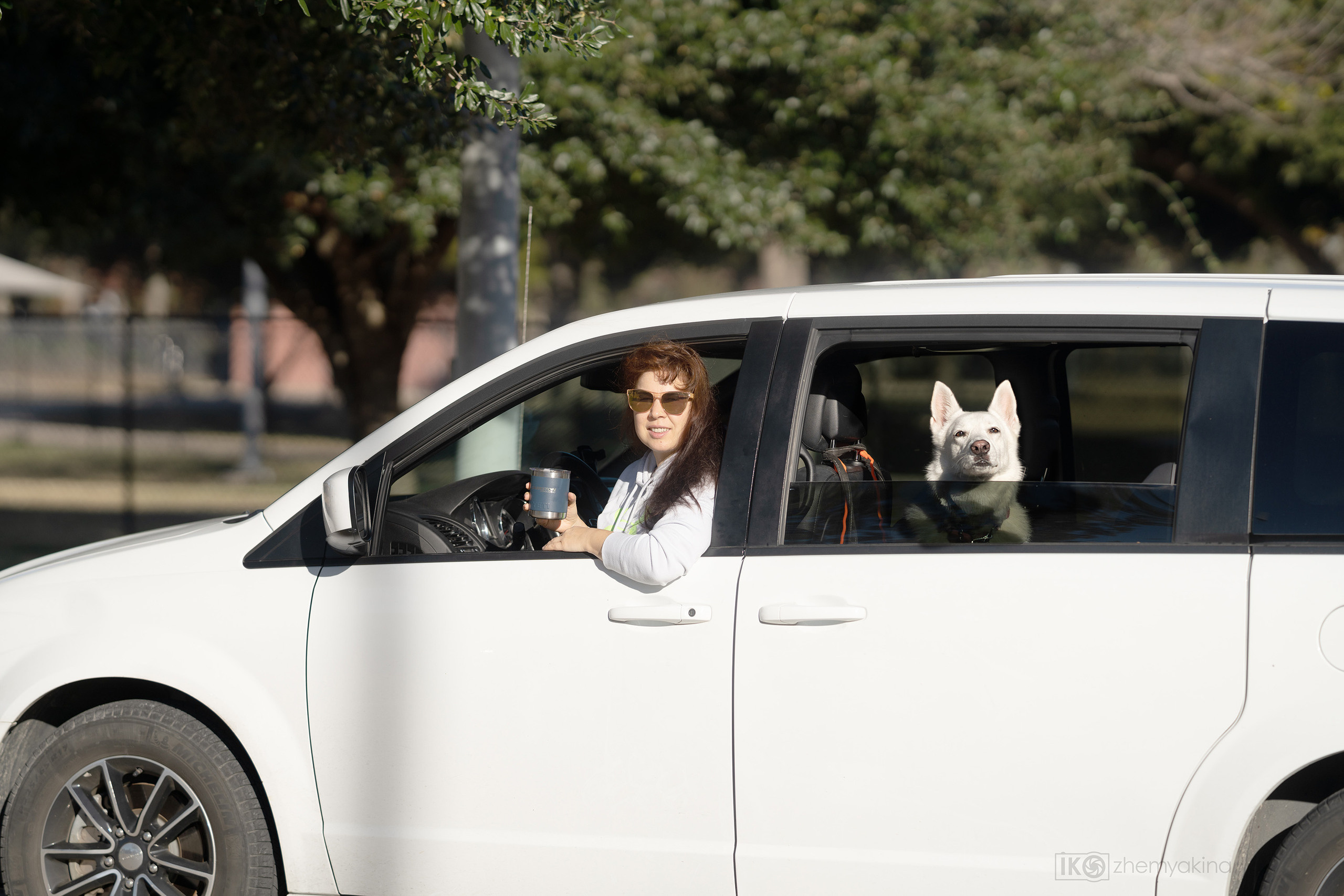 Bella White Shepherd. Photographer Irina Kozhemyakina. Houston