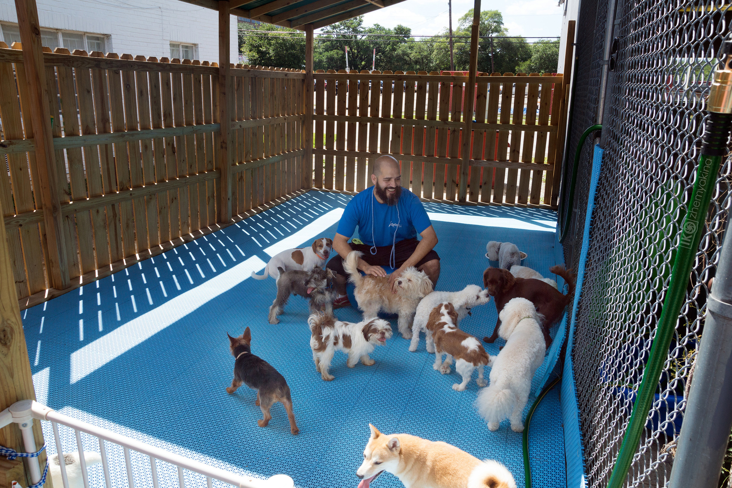 Pet Hotel. Photographer Irina Kozhemyakina. Houston