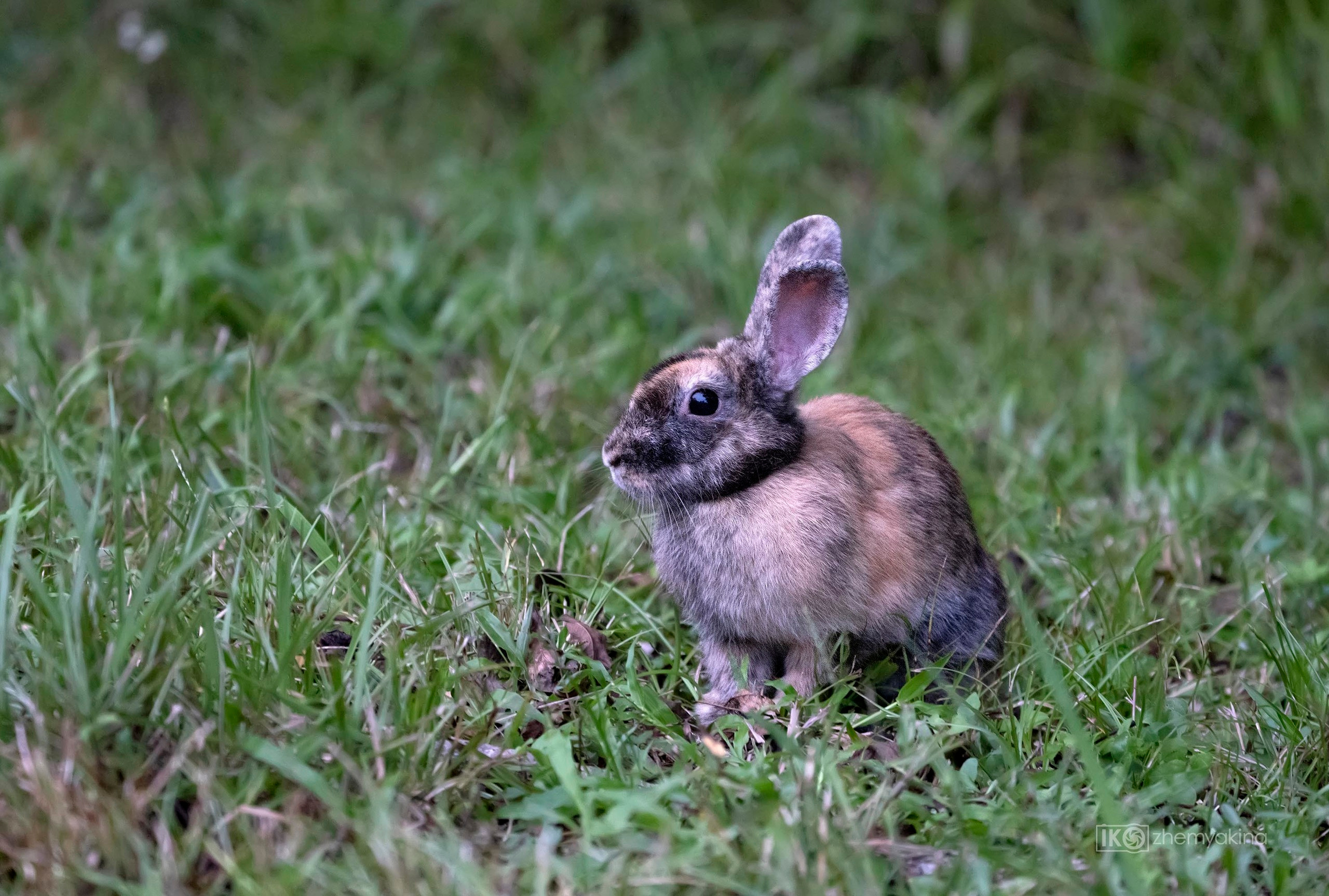 Someone threw out their pe