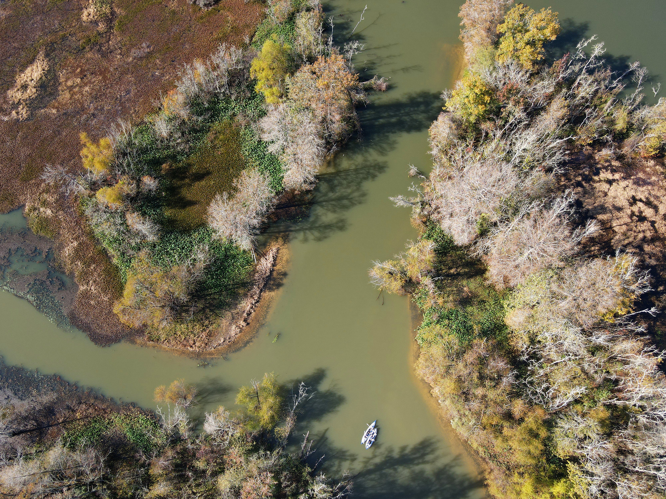 Martin Dies, Jr. State Park, 11/24-25/2020. Photographer Irina Kozhemyakina. Houston