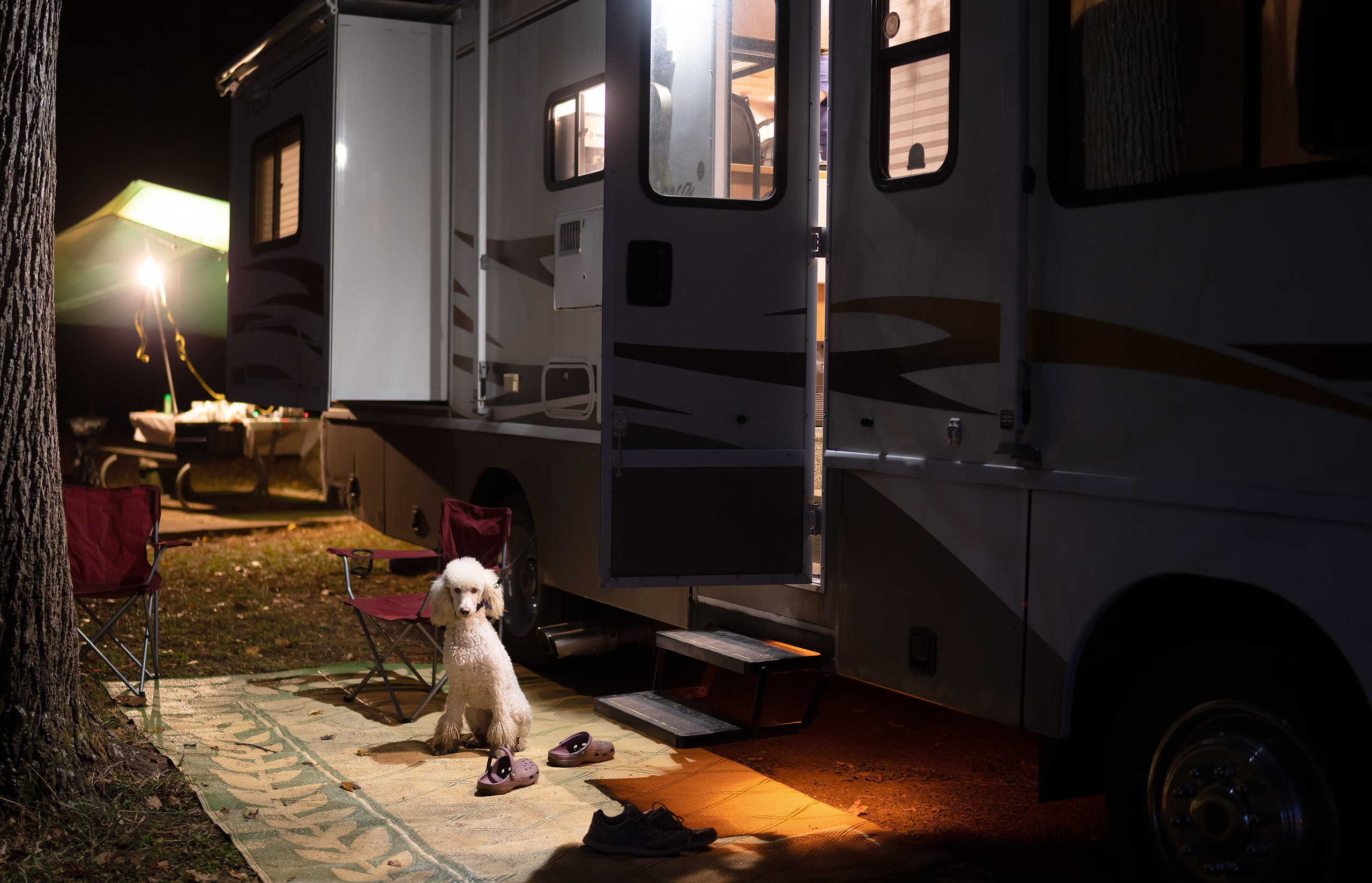 Martin Dies, Jr. State Park, 11/24-25/2020. Photographer Irina Kozhemyakina. Houston