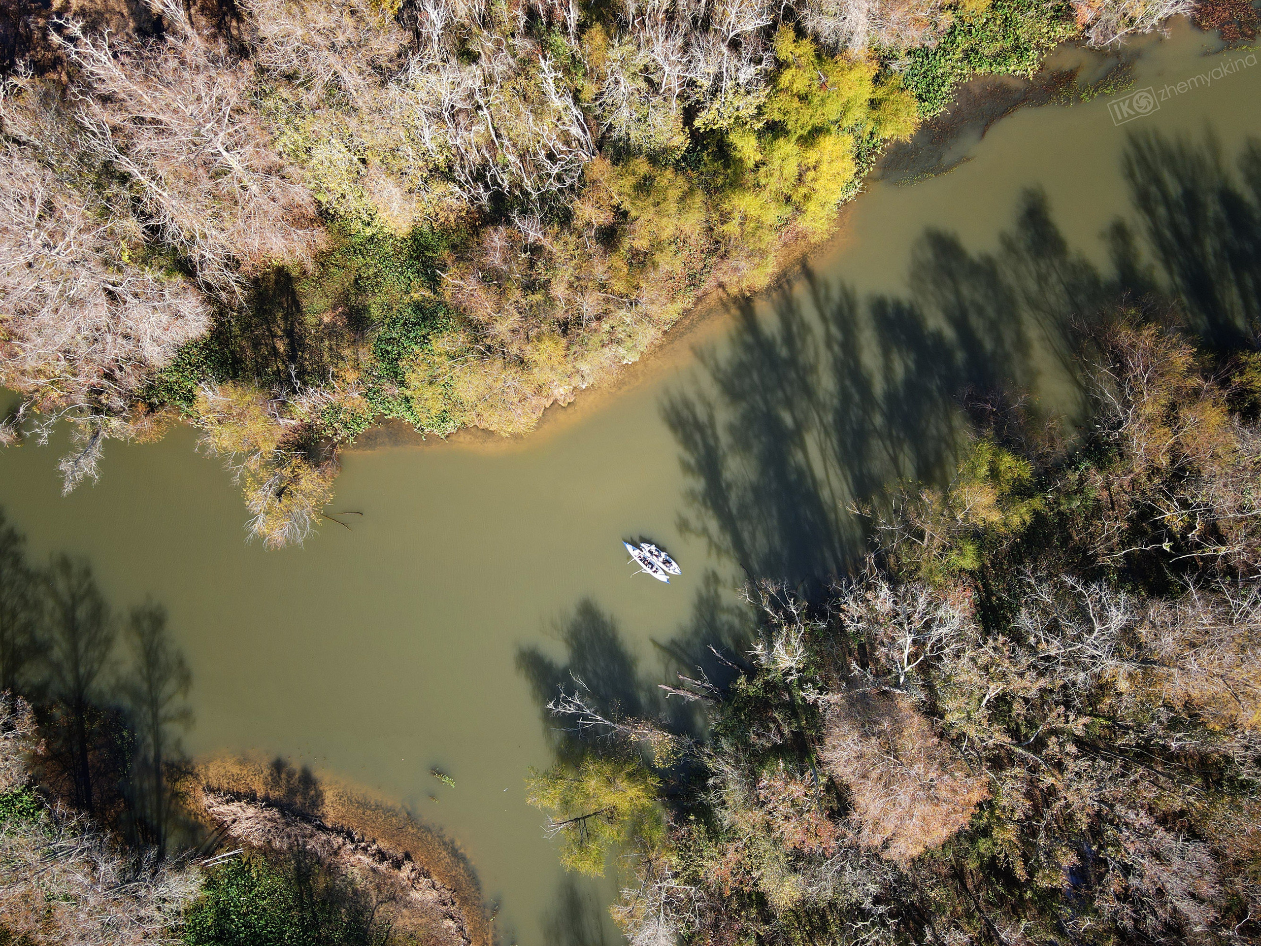 Martin Dies, Jr. State Park, 11/24-25/2020. Photographer Irina Kozhemyakina. Houston