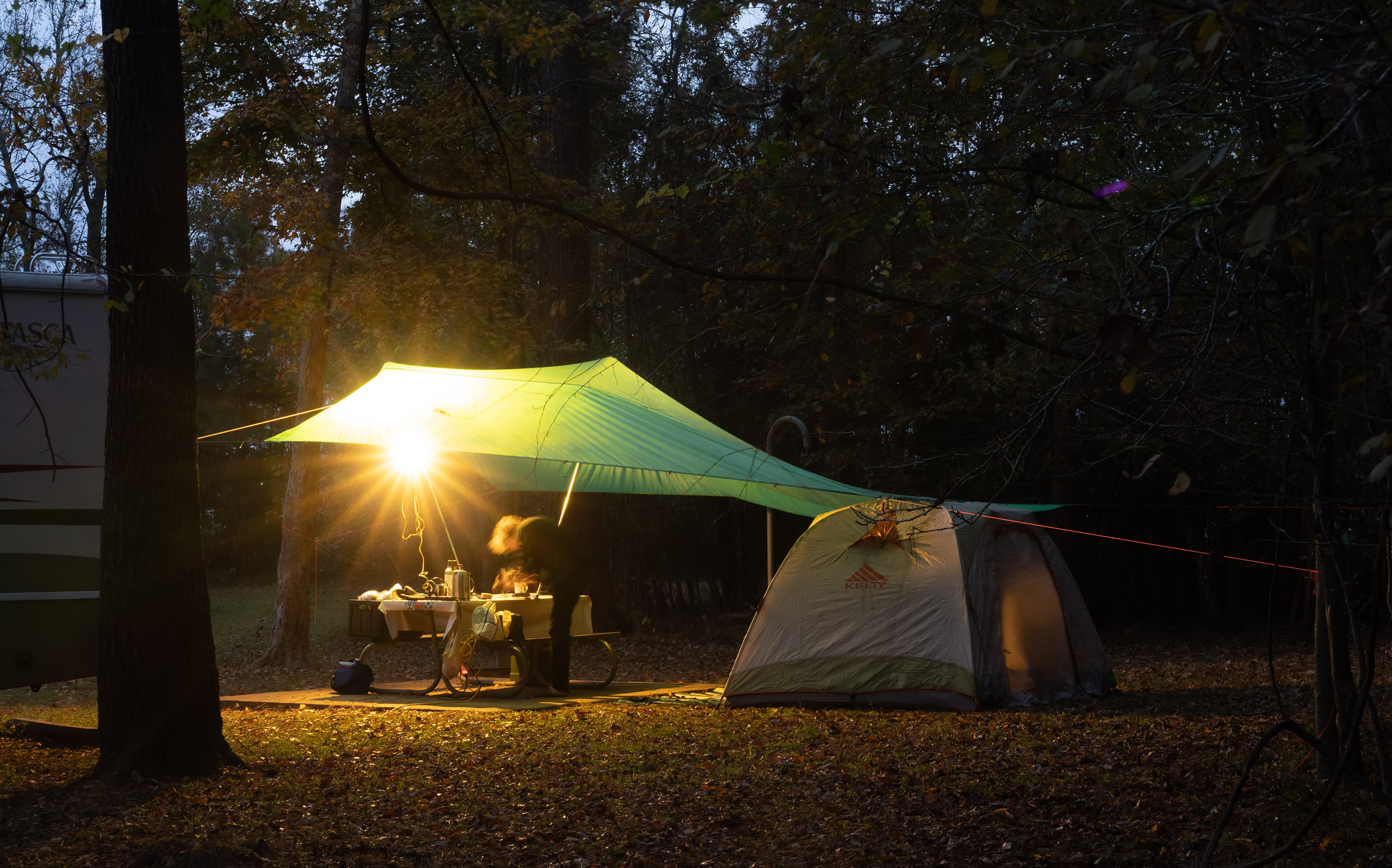 Martin Dies, Jr. State Park, 11/24-25/2020. Photographer Irina Kozhemyakina. Houston