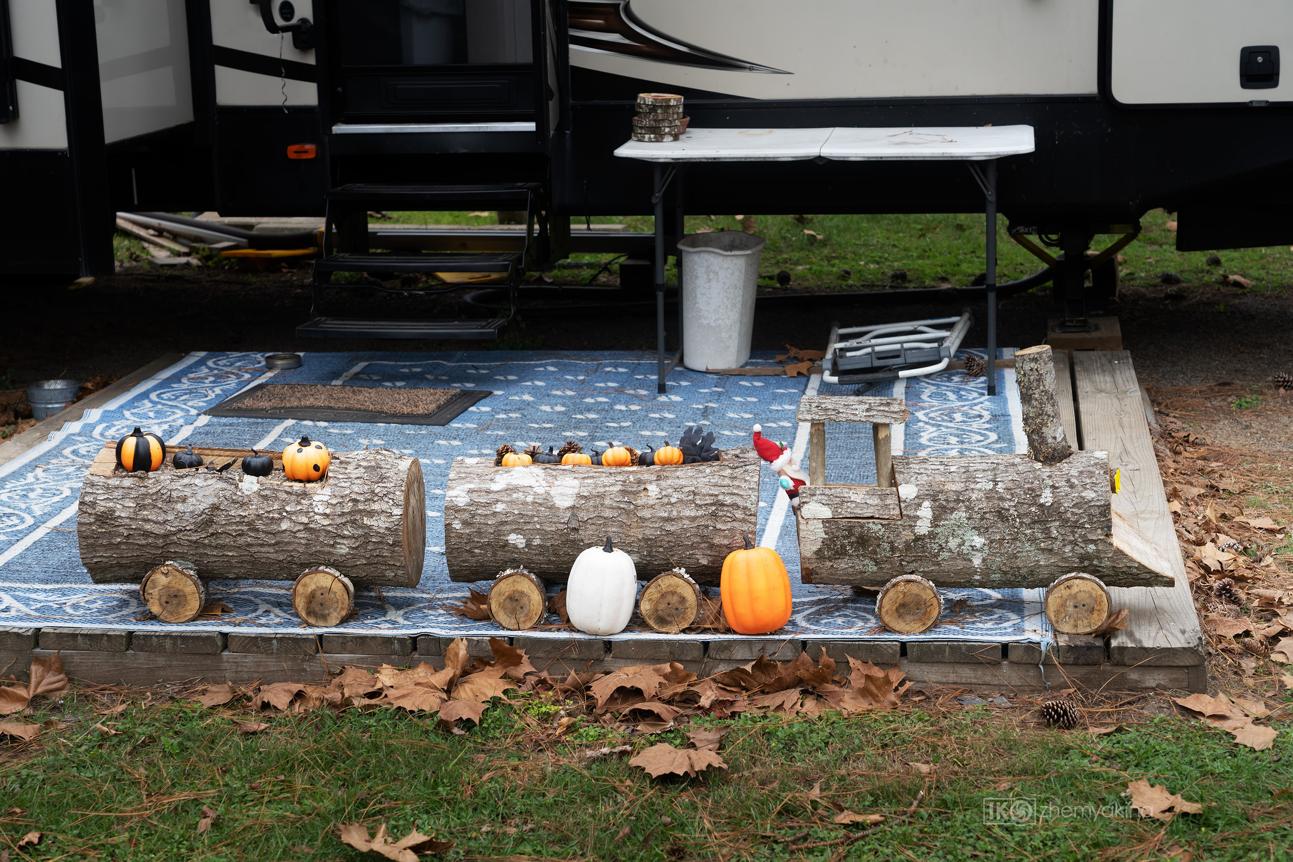 Martin Dies, Jr. State Park, 11/24-25/2020. Photographer Irina Kozhemyakina. Houston