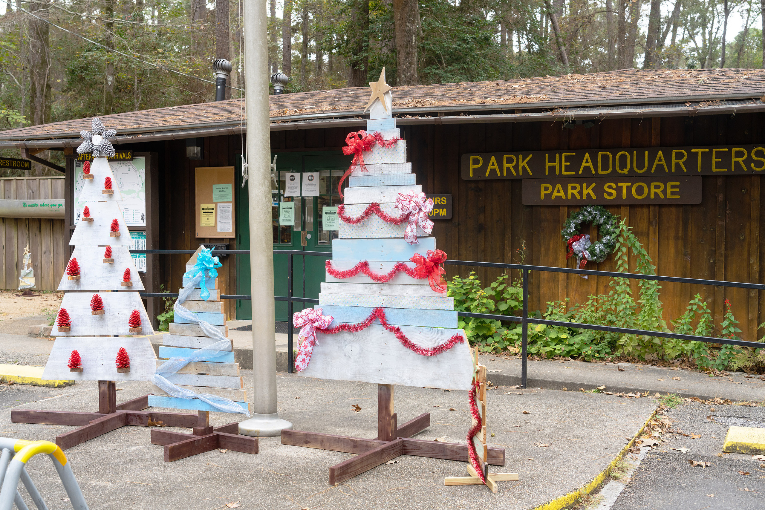 Martin Dies, Jr. State Park, 11/24-25/2020. Photographer Irina Kozhemyakina. Houston