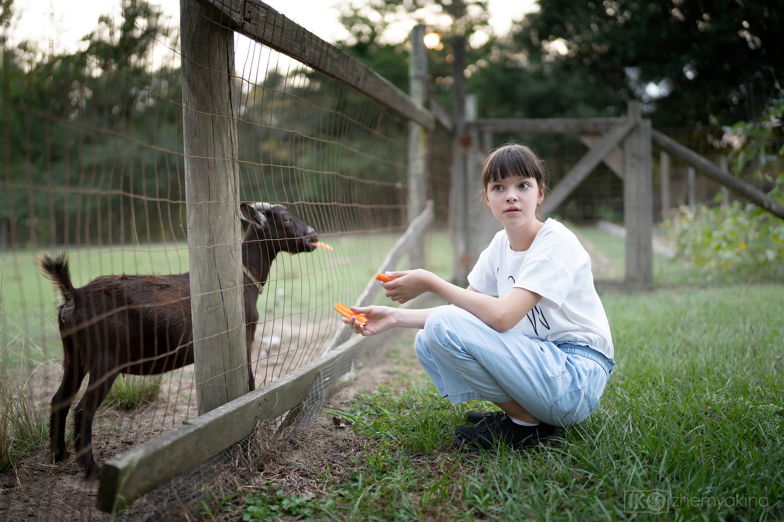 On the farm 09-19-2020. Photographer Irina Kozhemyakina. Houston
