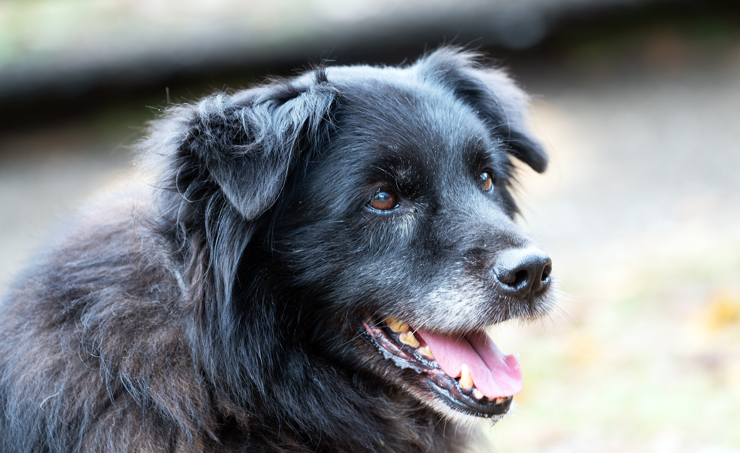 Martin Dies, Jr. State Park, 11/24-25/2020. Photographer Irina Kozhemyakina. Houston