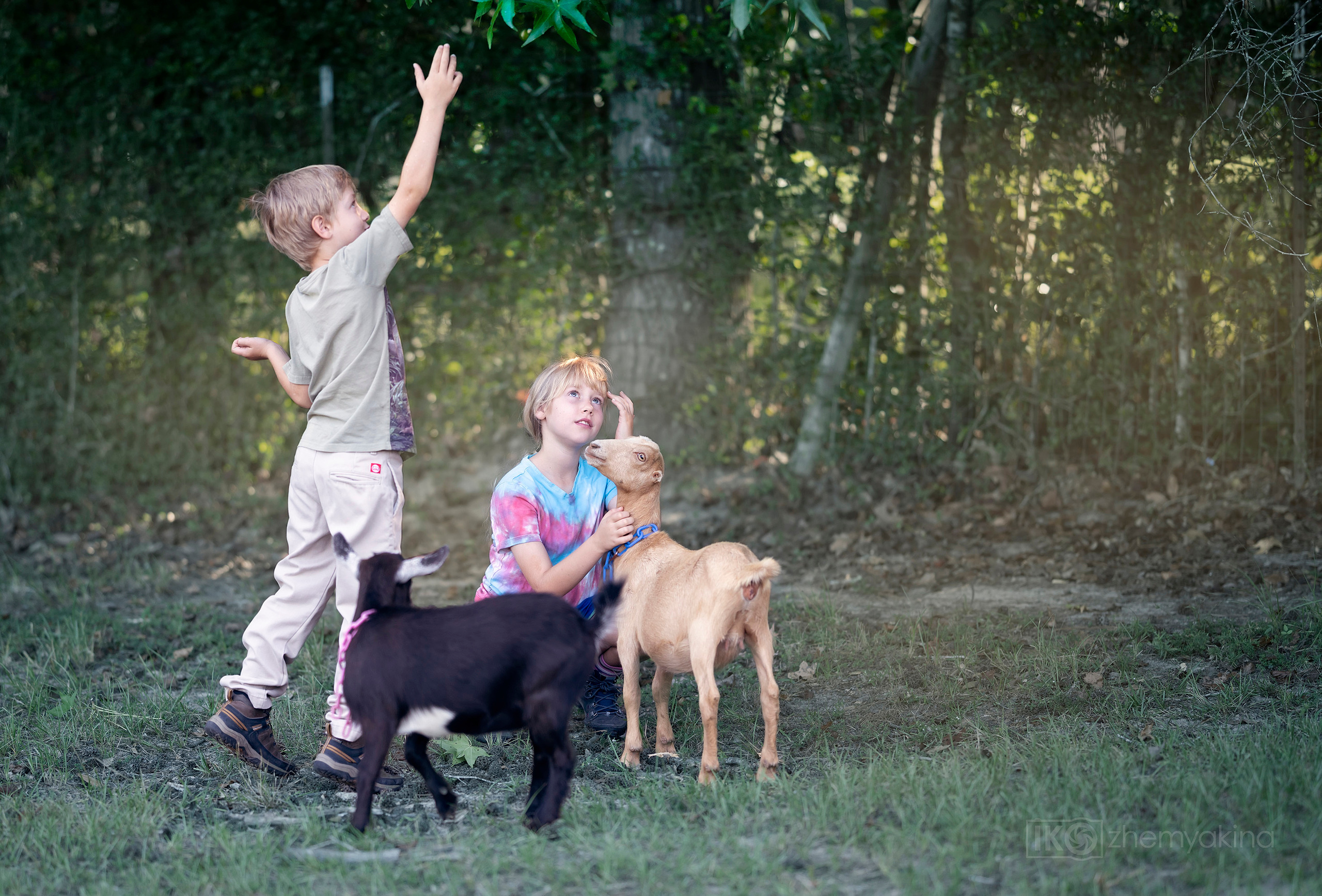 On the farm 09-13-2020. Photographer Irina Kozhemyakina. Houston