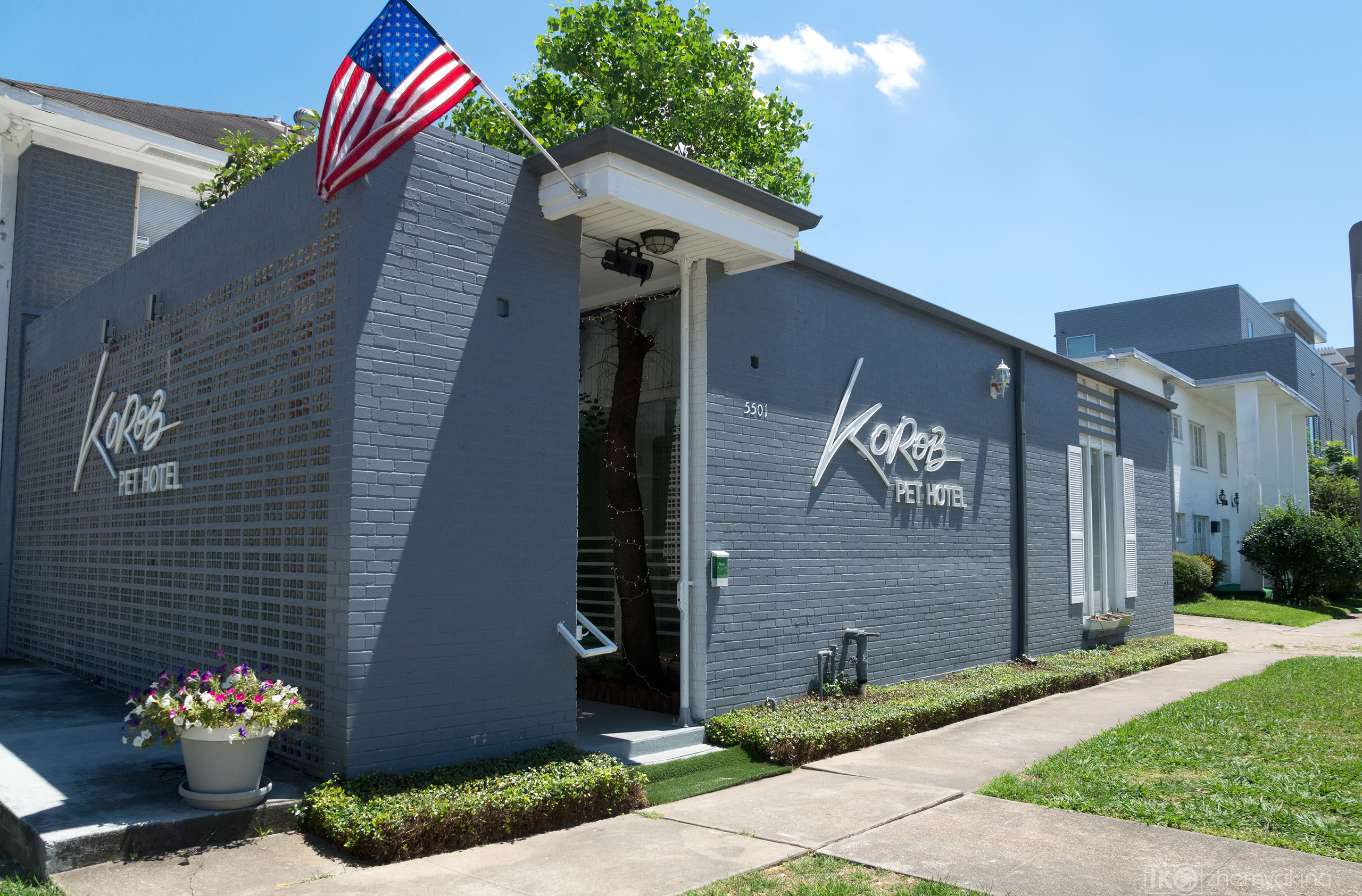 Pet Hotel. Photographer Irina Kozhemyakina. Houston