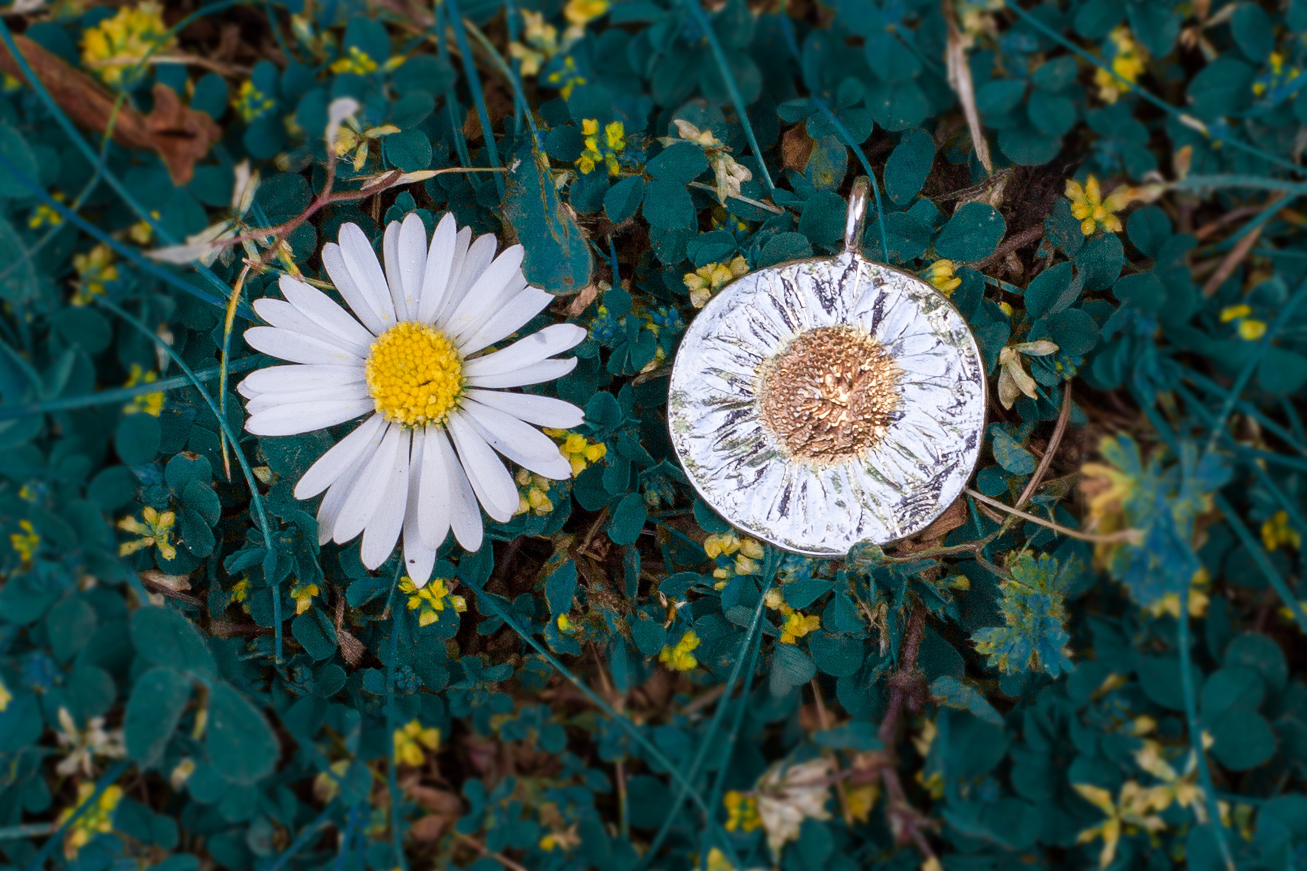Commercial. Photographer Anya Goldenberg. Works in Reading and surrounding areas
