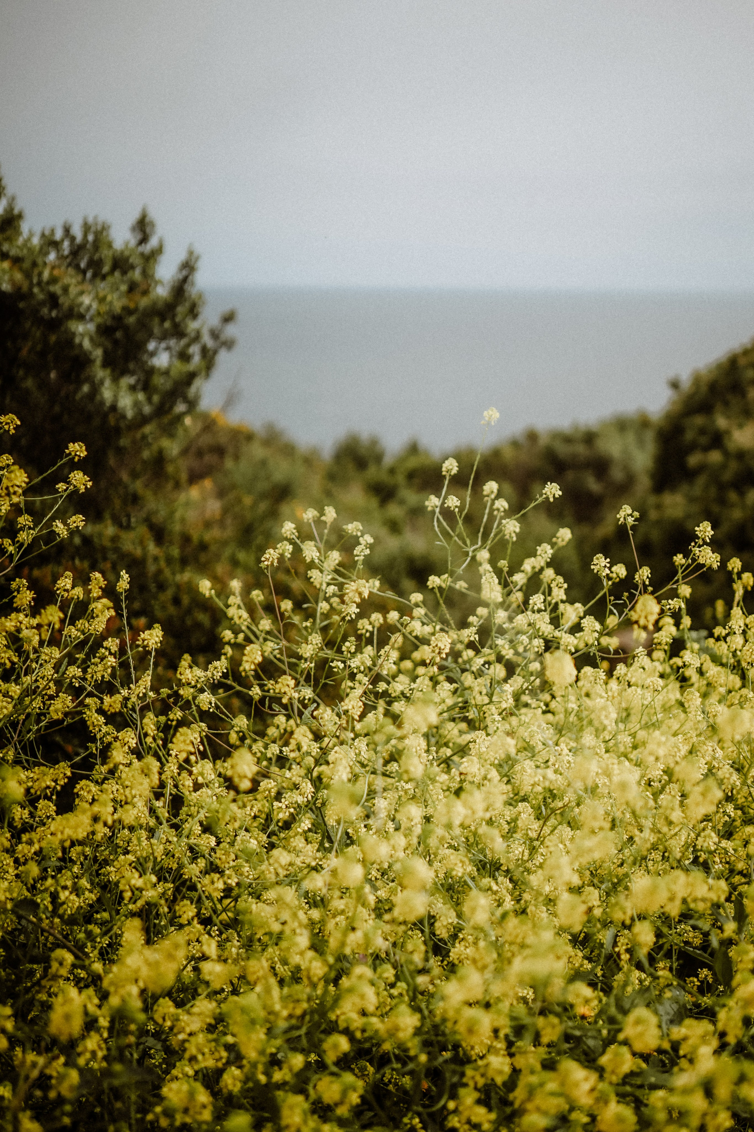 Massif du Cap-Sicié: plages de St.Selon, Jonquet, Boeuf. Photographe à la Seyne sur Mer, Var