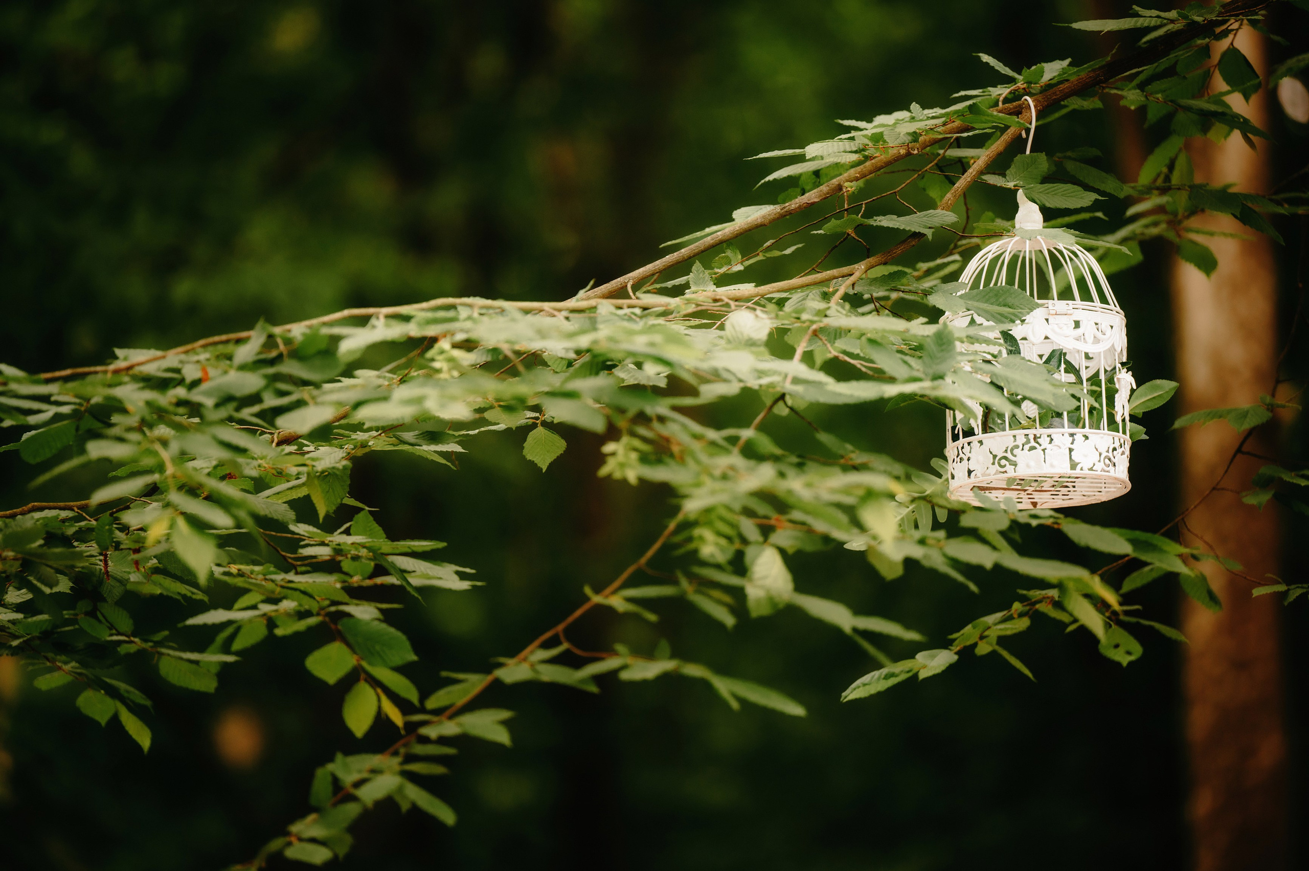 NUNTA Tudor si Stefana. Laurentiu Stefan StoryTeller