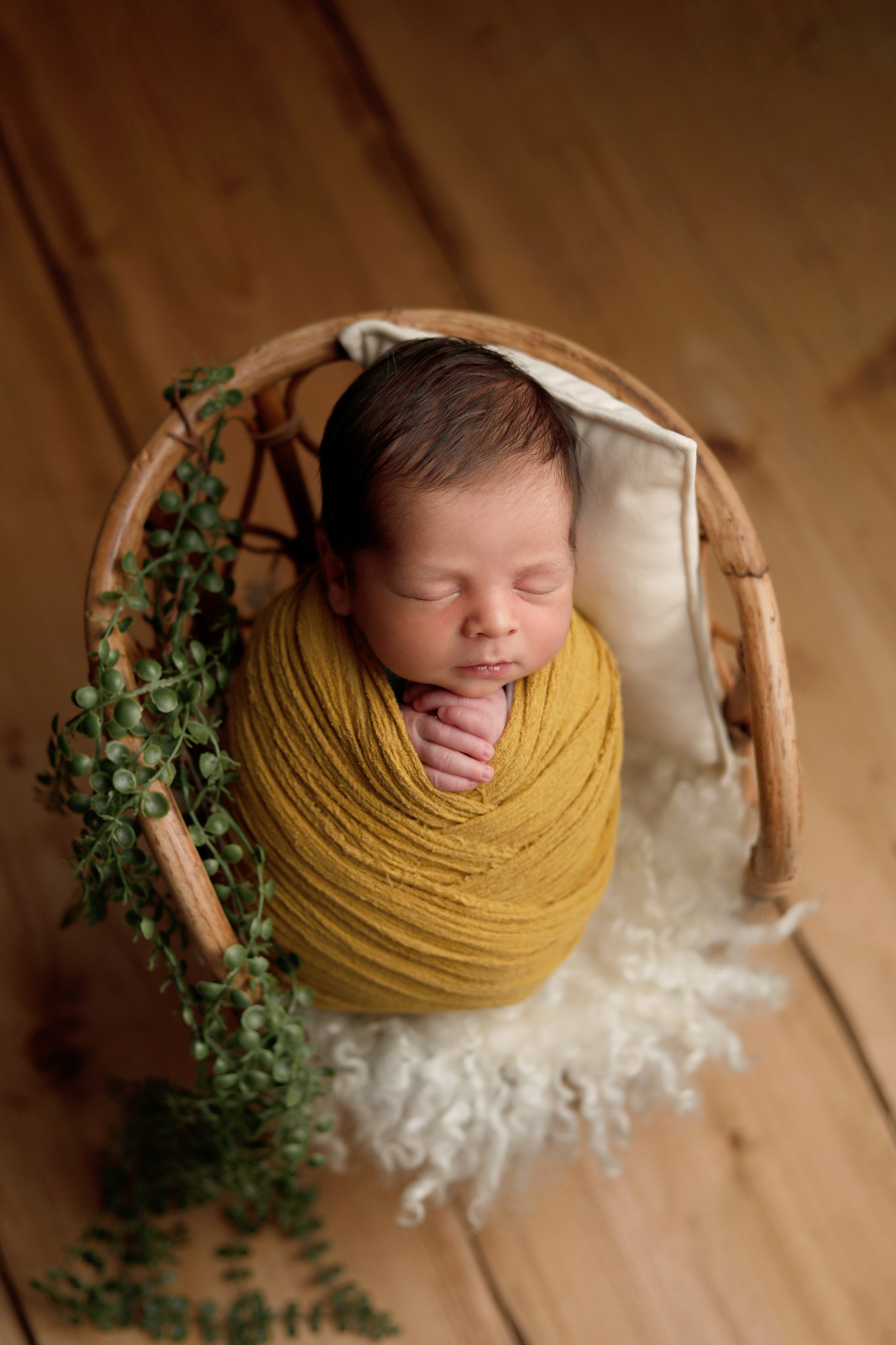 Alicia Beatrice Predoiu. Neugeborenen Fotograf Ulm (Umgebung)