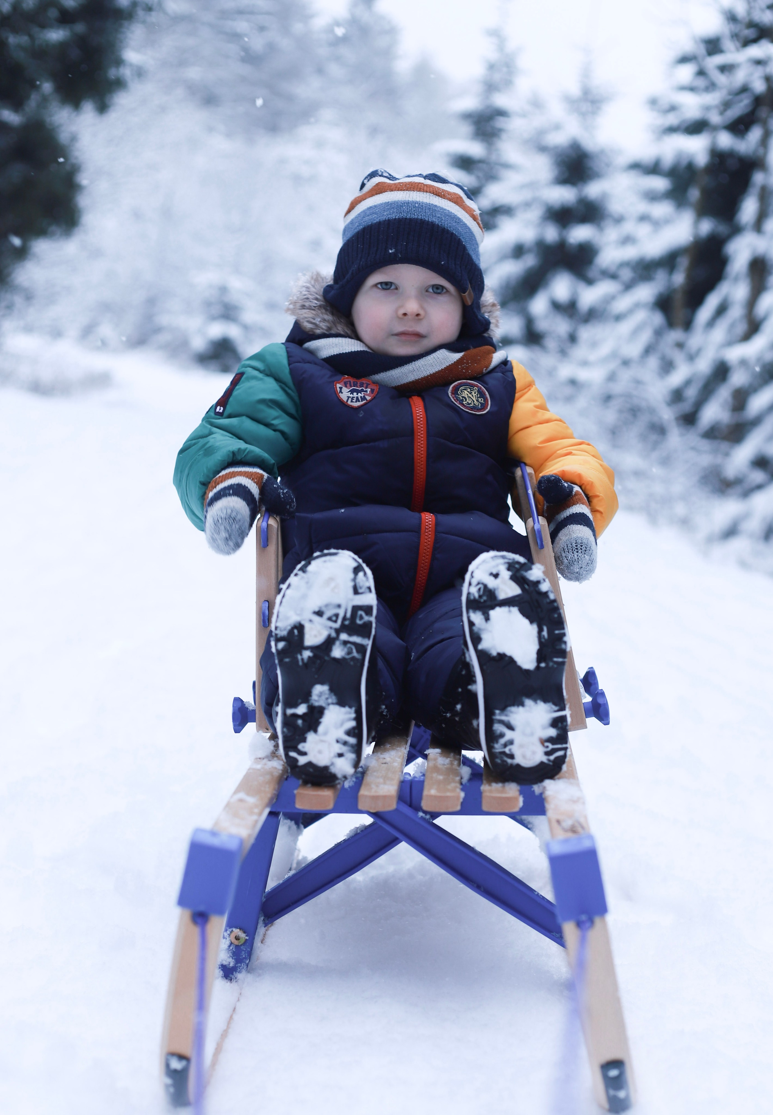 Winterfotografie (im Wald). Olena Fritz Fotografie
