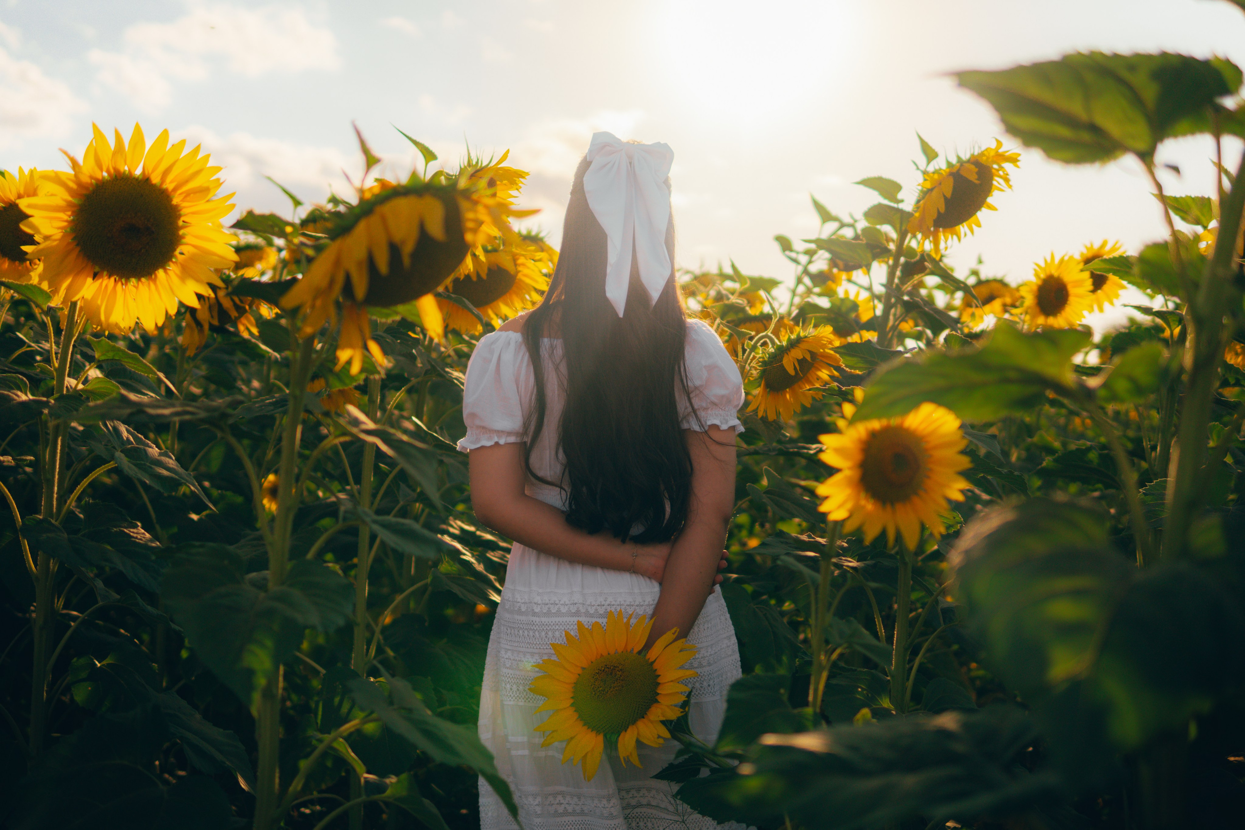 Debutante. Reference Visuals