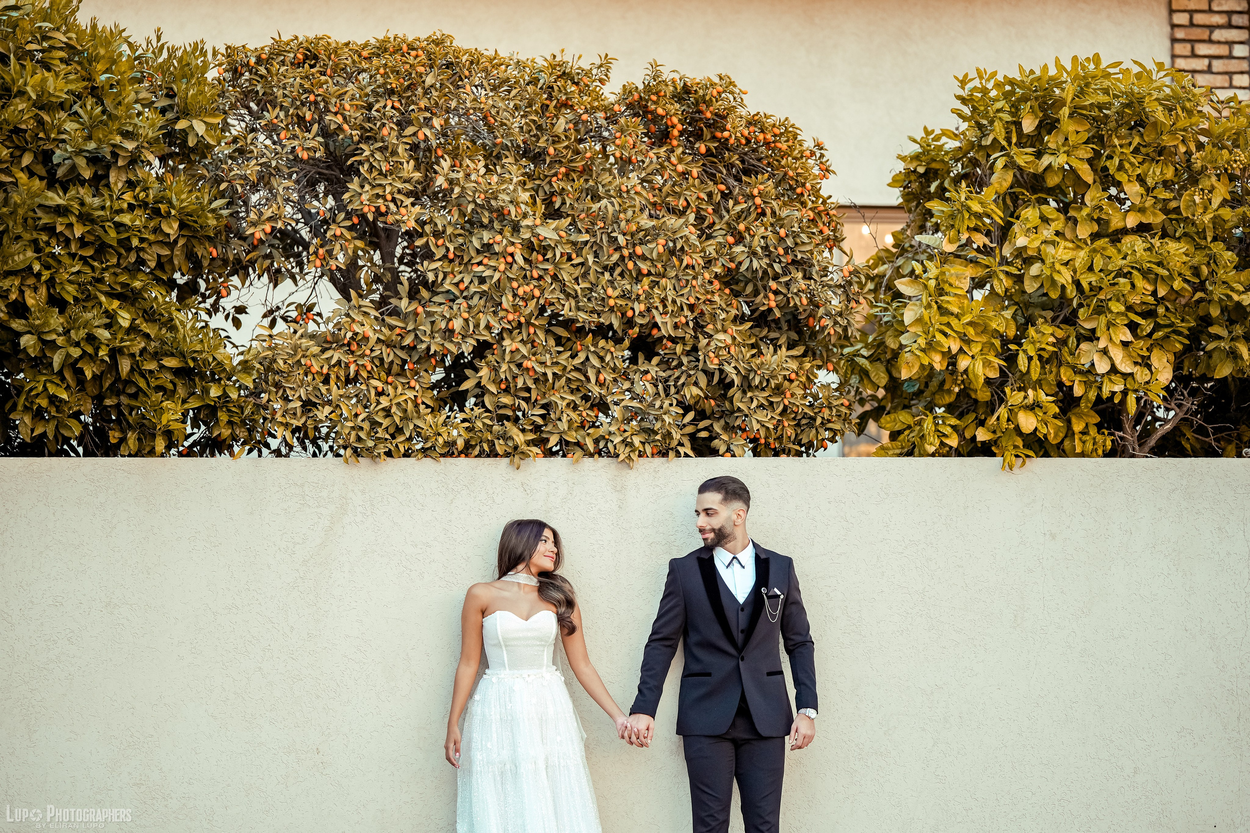 לופו צלמים — צילום חתונות ואירועים