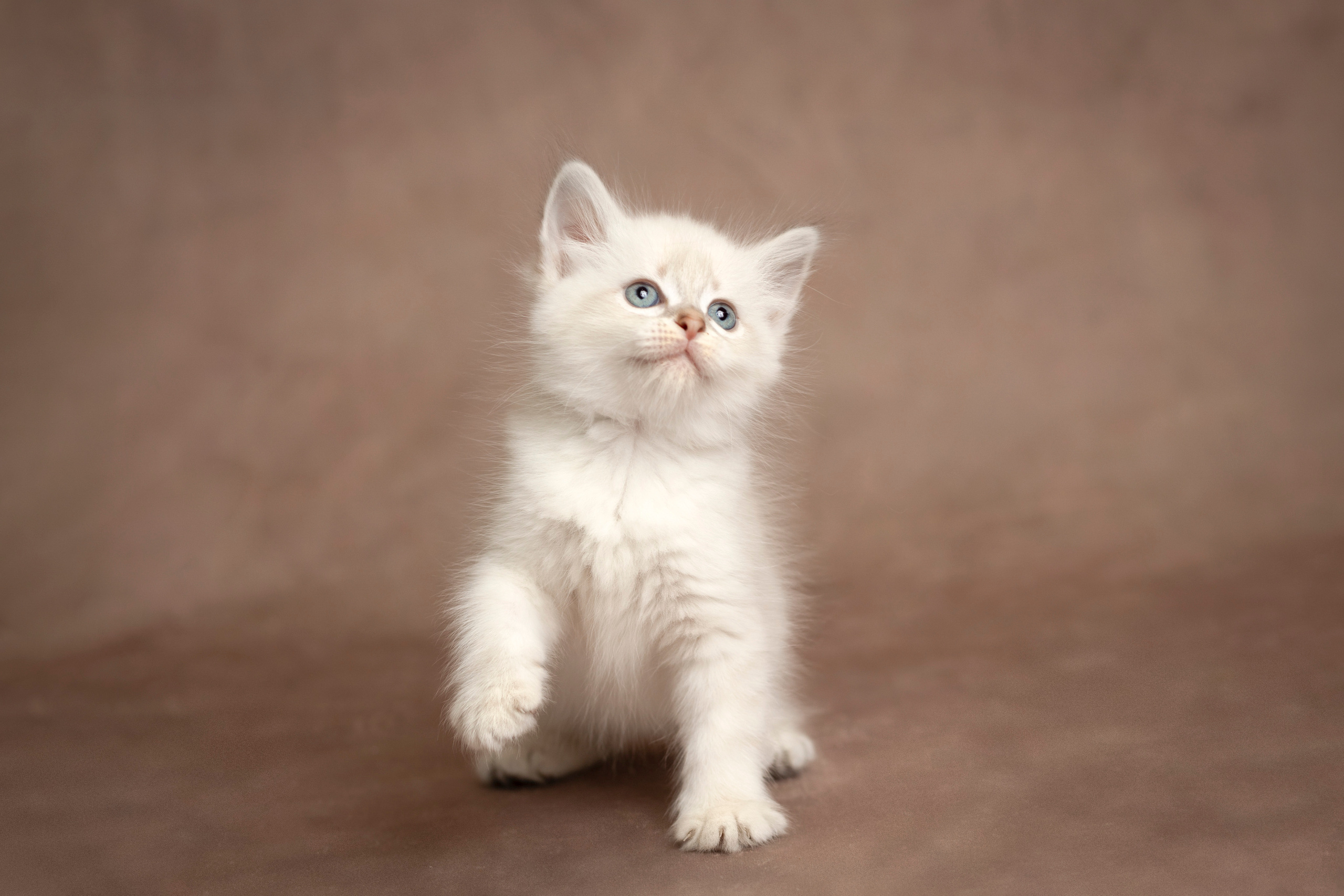 Comments and kind words for photographer. Stevenage, Hertfordshire family, maternity and newborn photographer