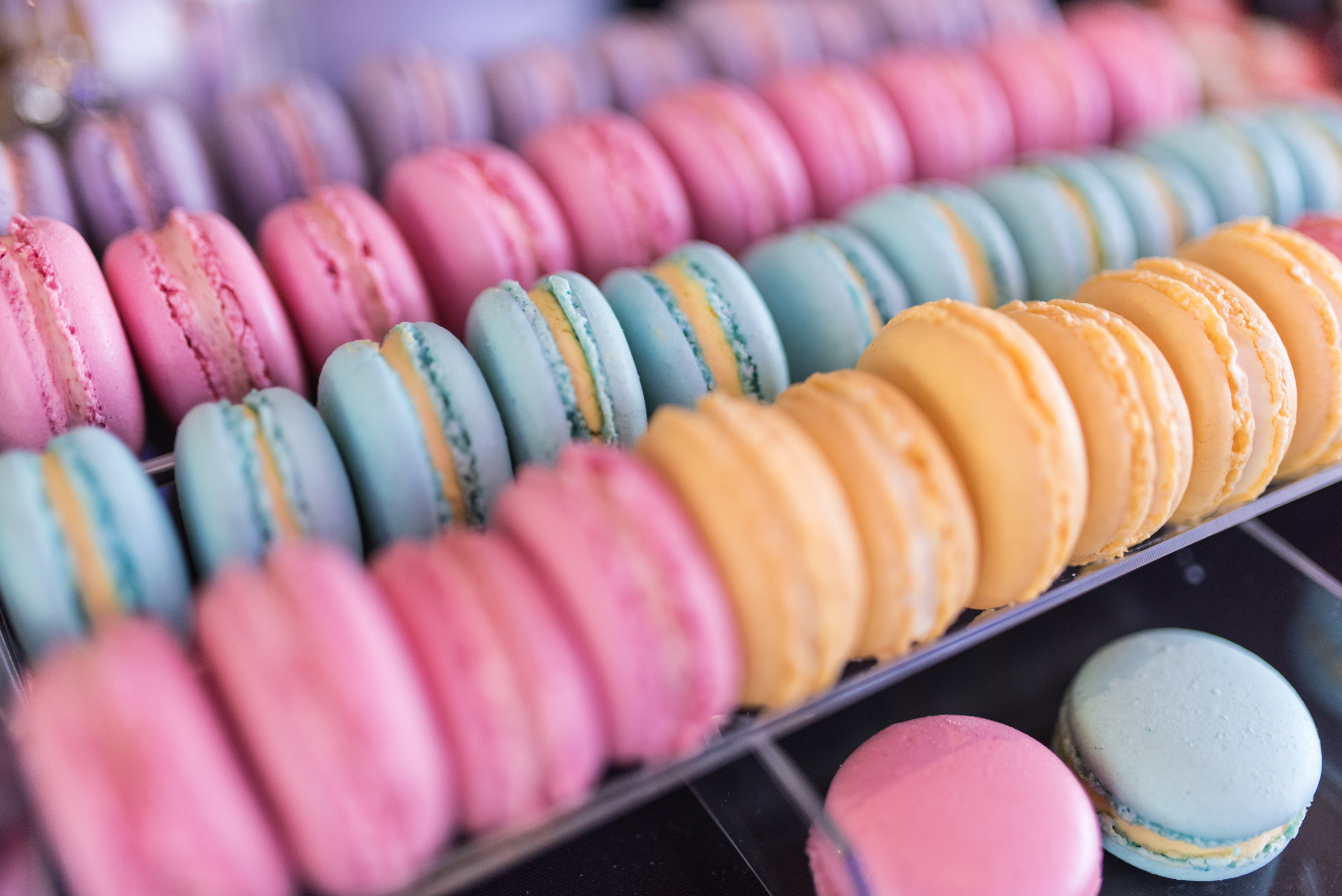 Oana si Corneliu. Daniel Criste Fotograf