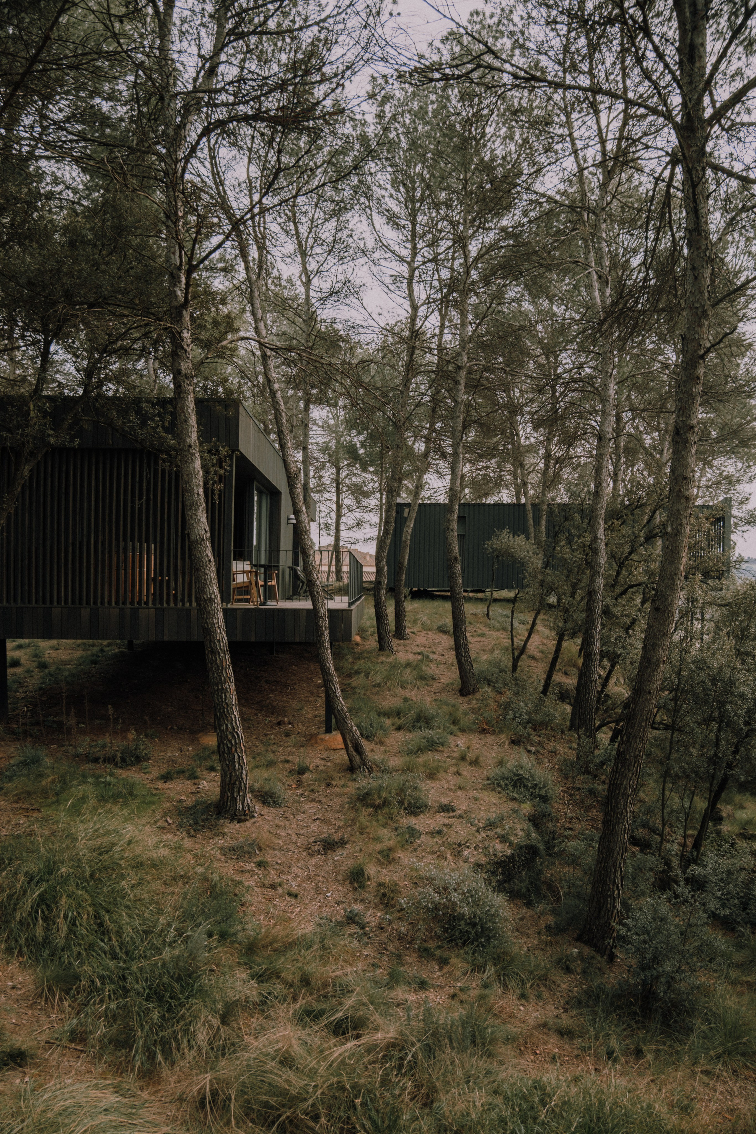 Sesión familiar en el bosque. Fotografía profesional en Calafell - Elena Medvedeva