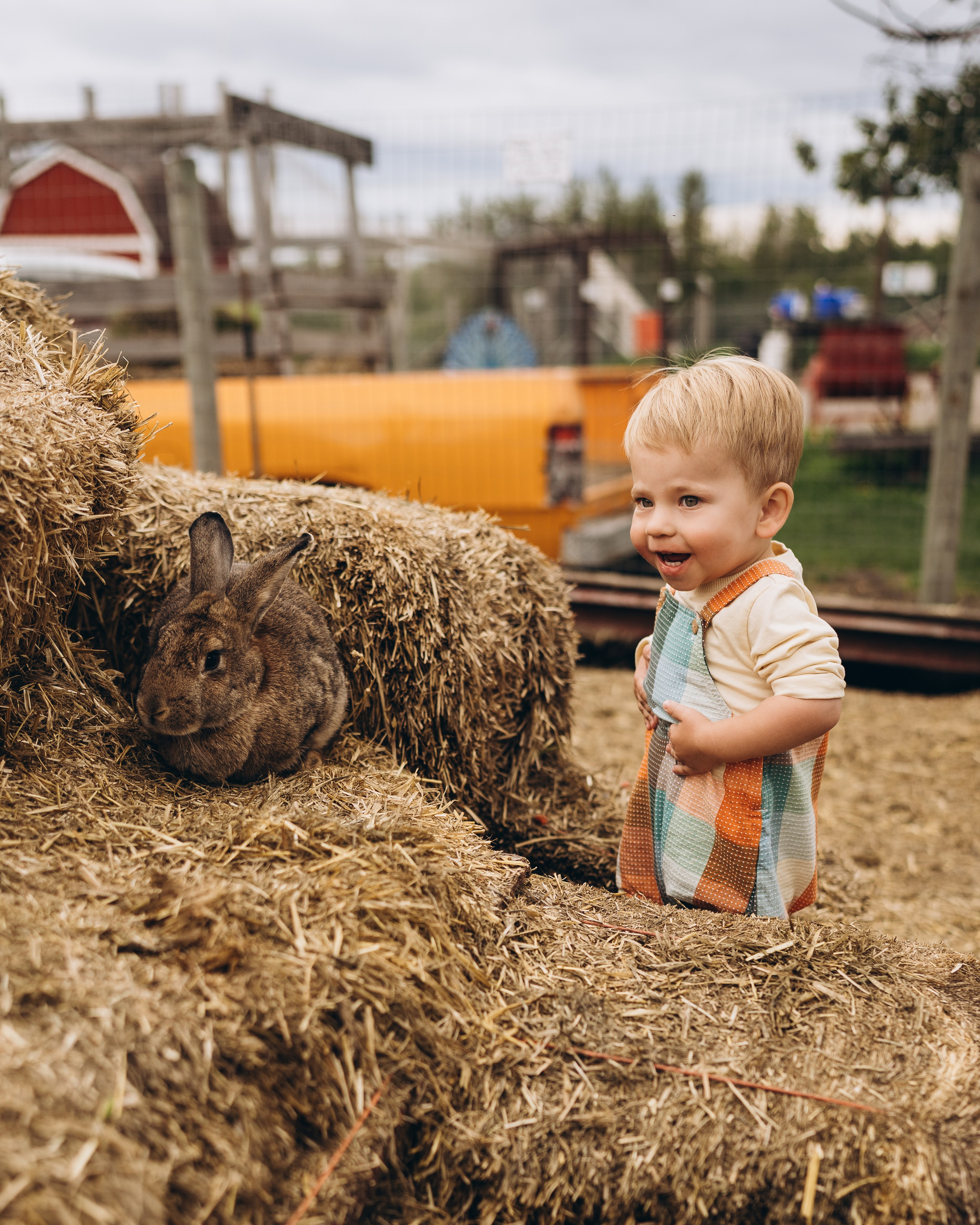 Lev. Calgary Wedding & Lifestyle Photographer — Yevhen Polishchuk