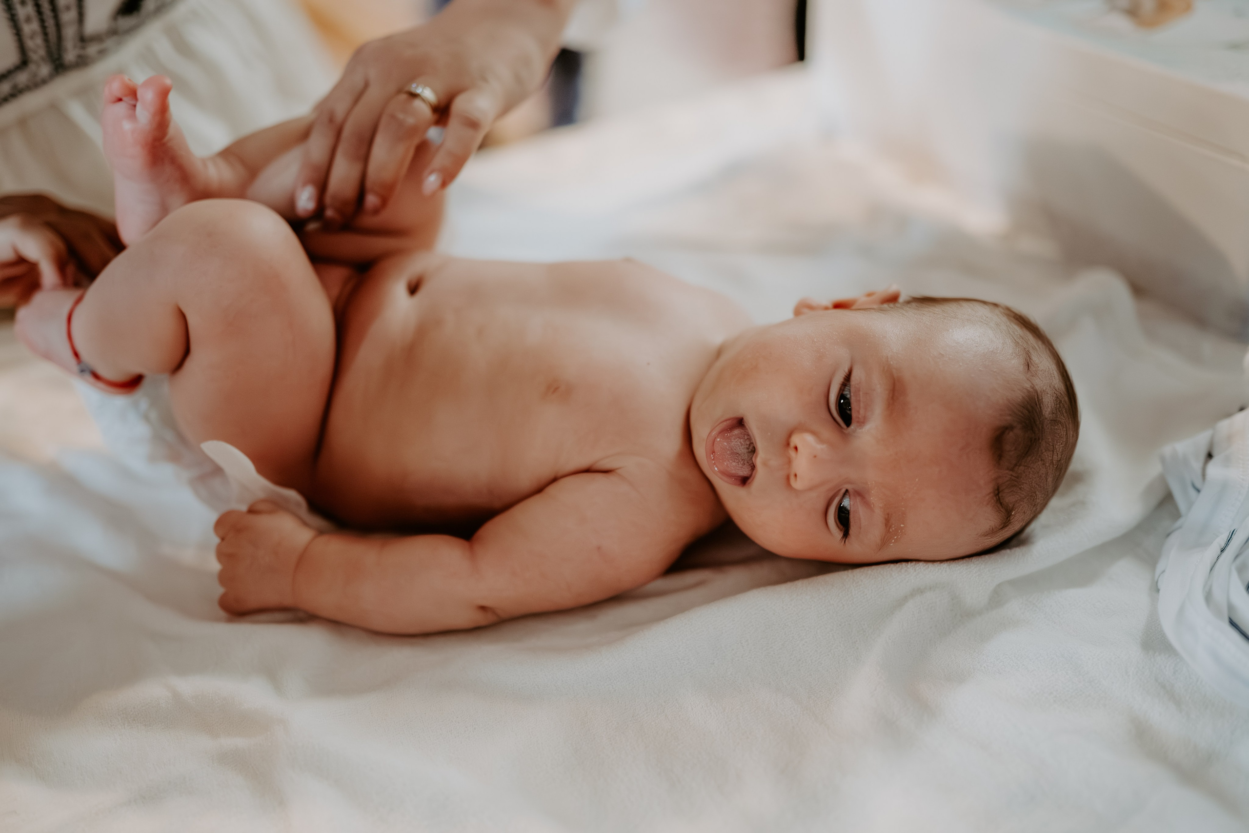 Bogdan Constantin. Catalin Brinza