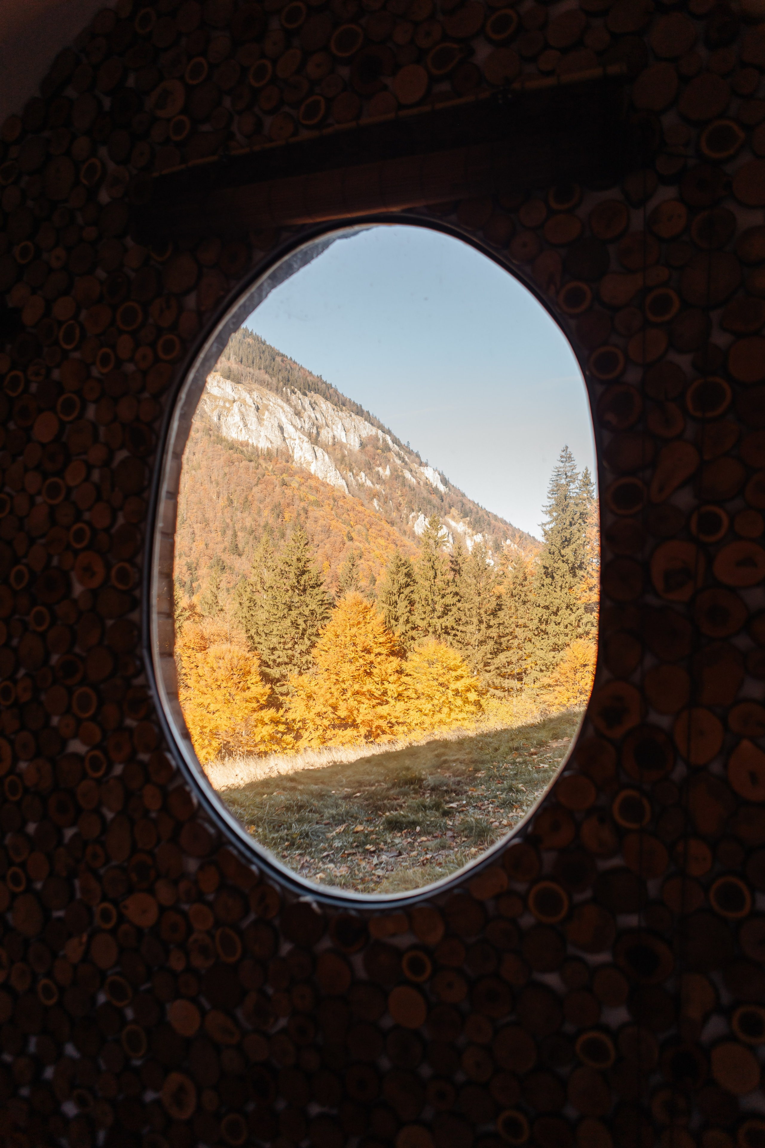 Alexandra. Cristina Andronache fotograf Brașov fotograf de familie fotograf de nunta Brașov