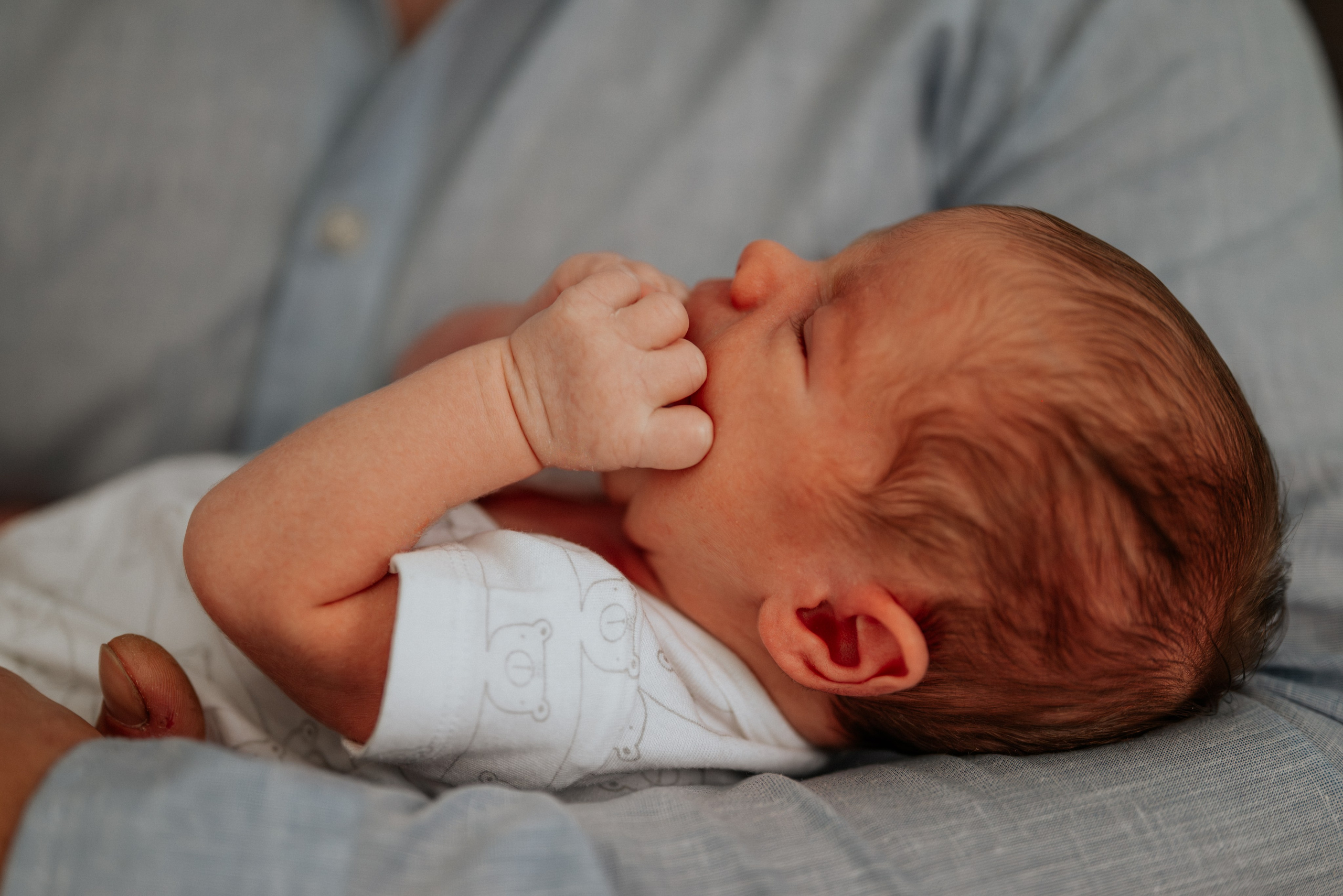 Balša - fotografisanje bebe kod kuće. Dečiji i porodični fotograf