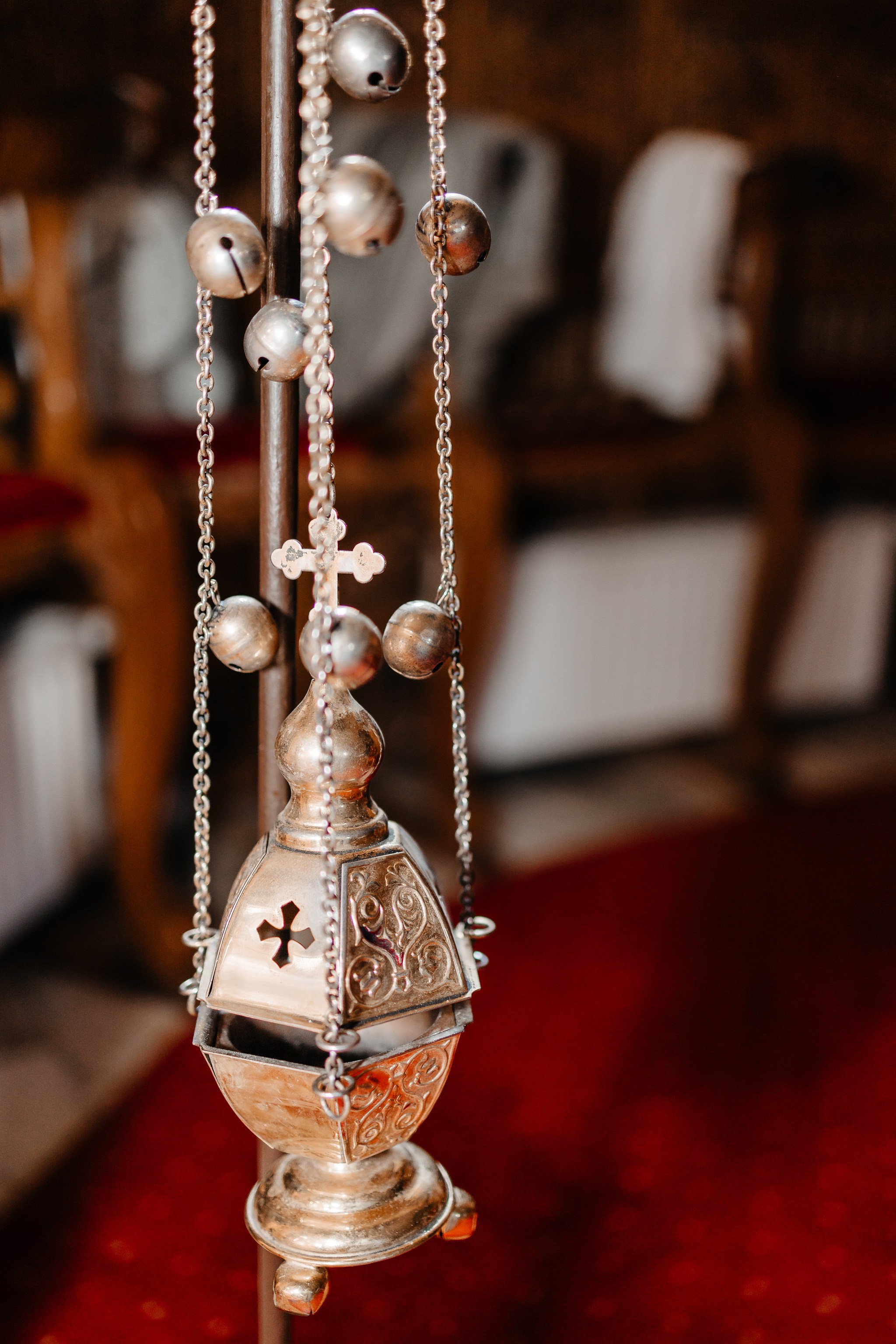 Cezar-Nicholas. FotoACTIV.ro-Your Image matters