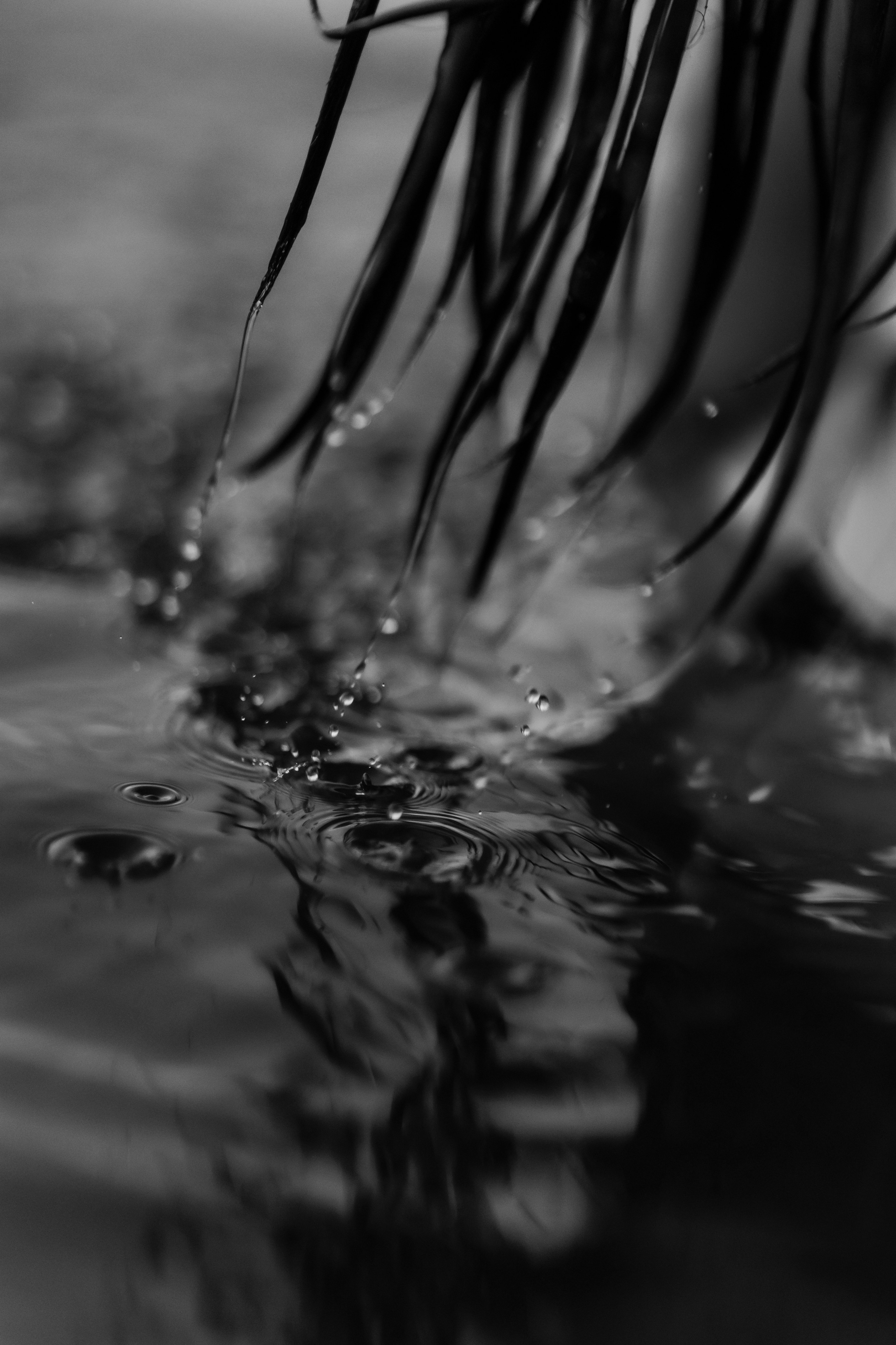 Индивидуална Фотосесия. Фотограф Ирина Йотова