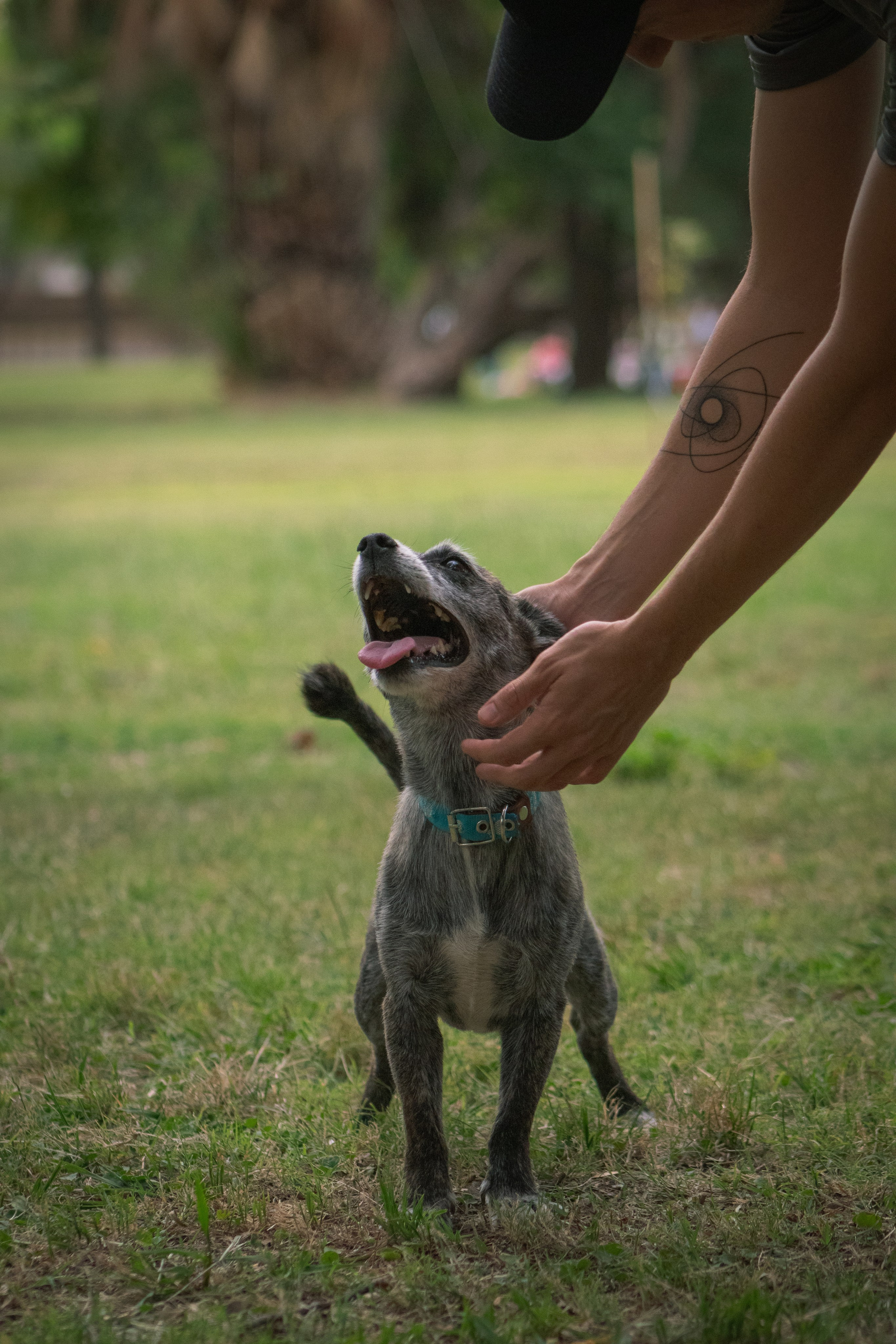Maya & Pablo. Fotógrafo en Mendoza Alexander Safonov