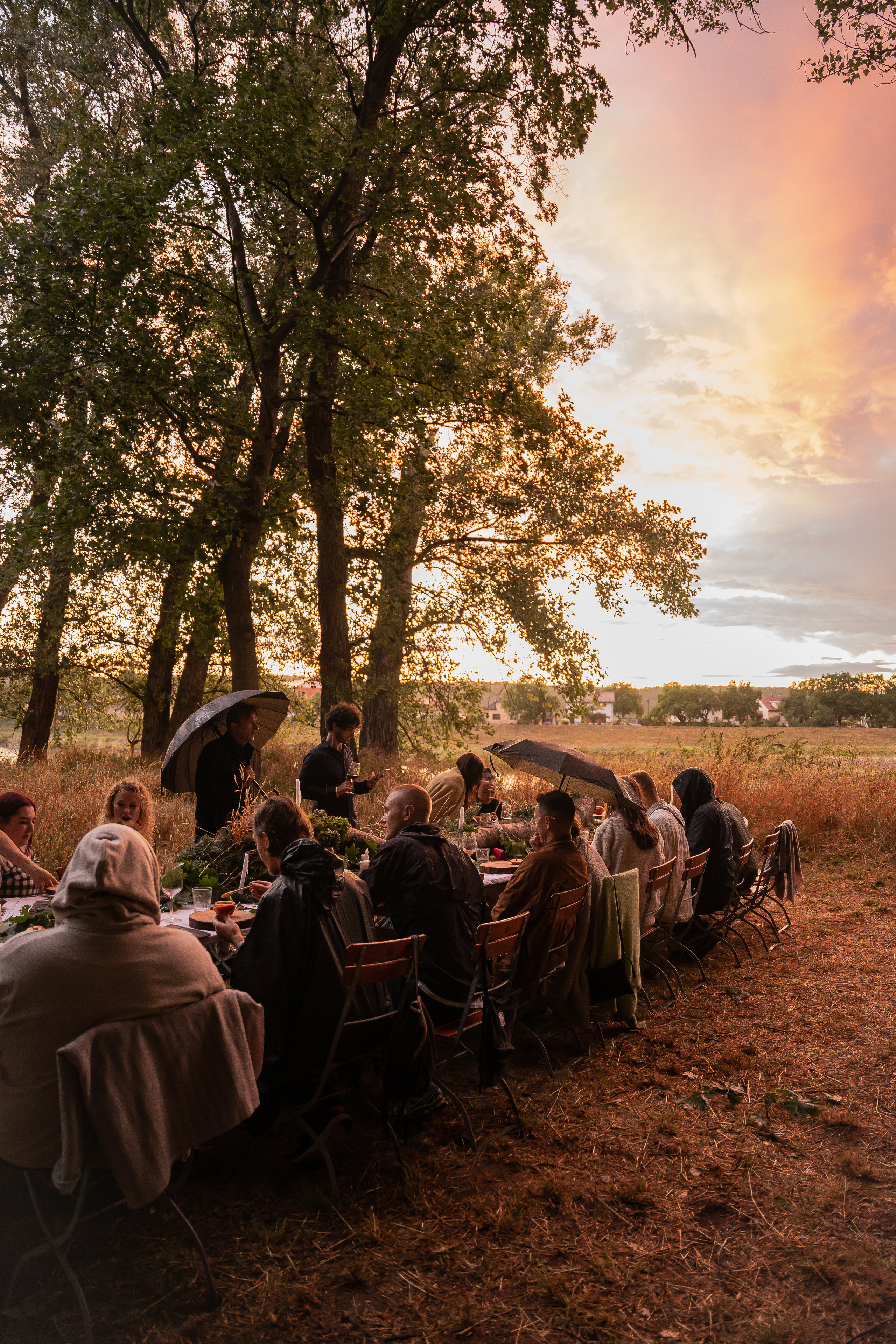 Gastronomic Performance