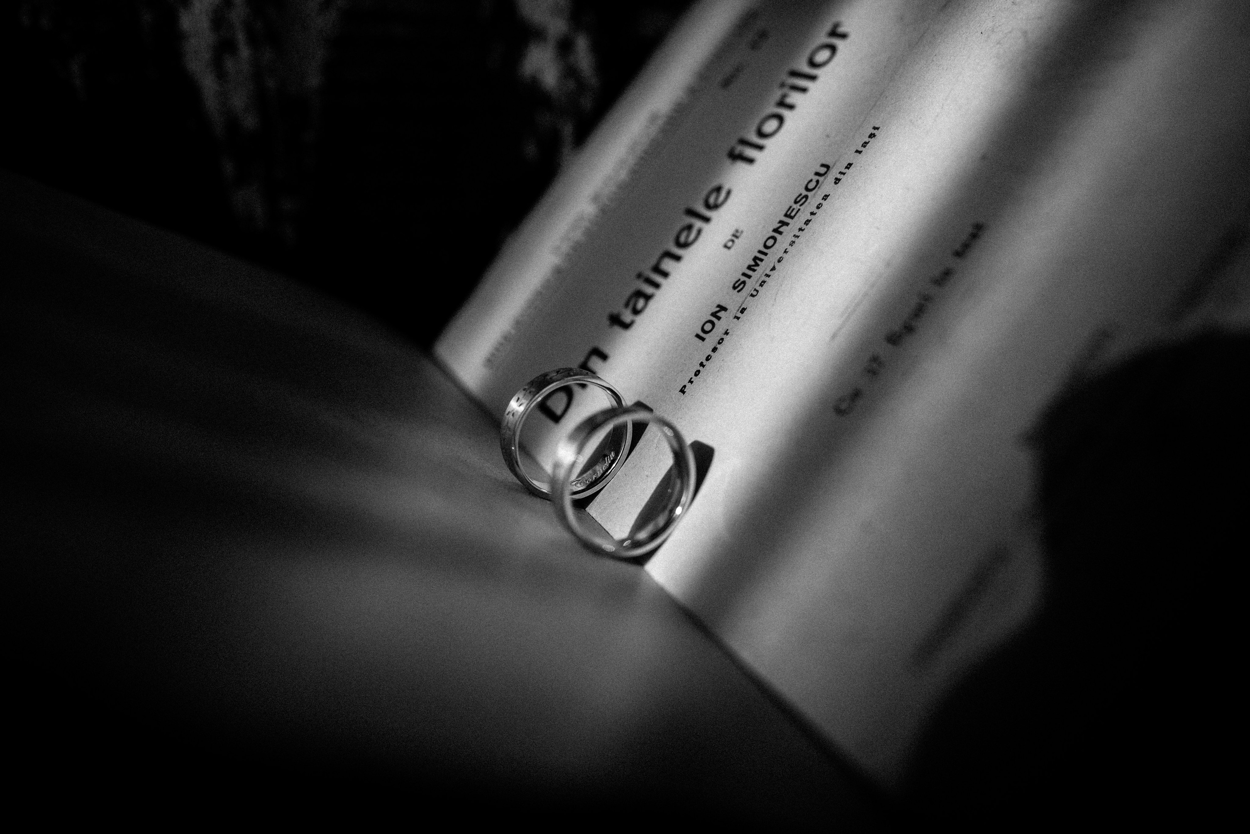 Wedding Photography. Daniel Criste Fotograf