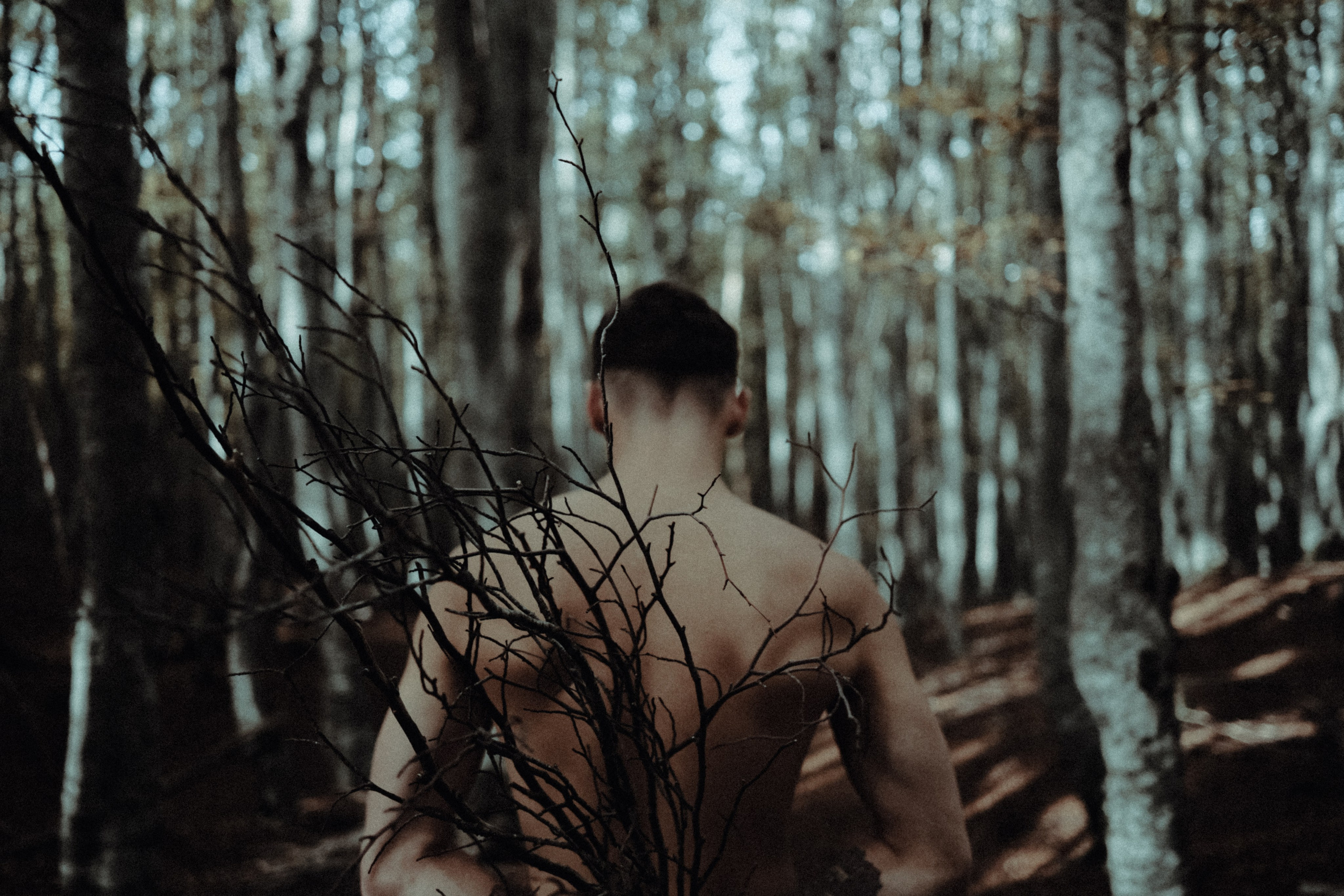 Nikita lost in the forest. Creative photographer in Madrid Anna Dvorianskaia