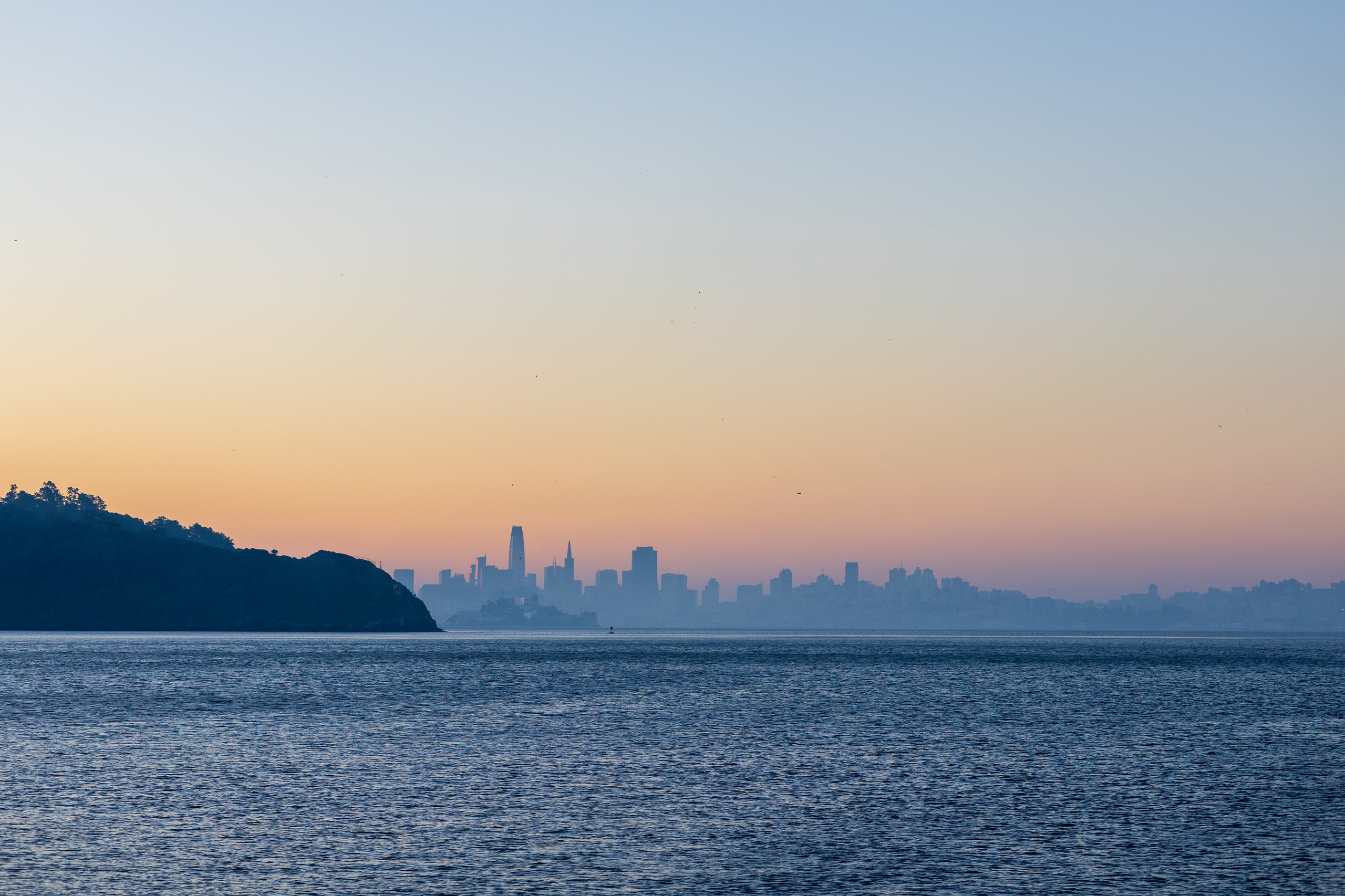 San Francisco. Aleks.photo | Book a photoshoot