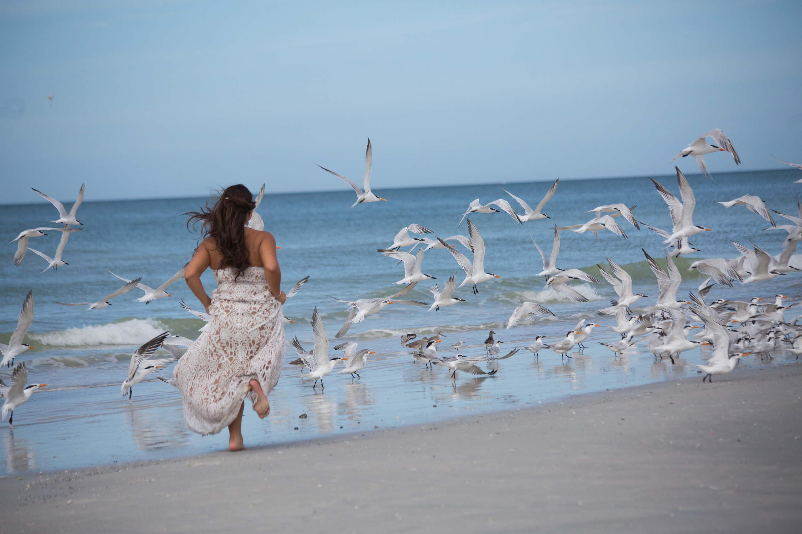 ELOPEMENTS. Wedding Photography & Videography contenting in Tennessee and Florida