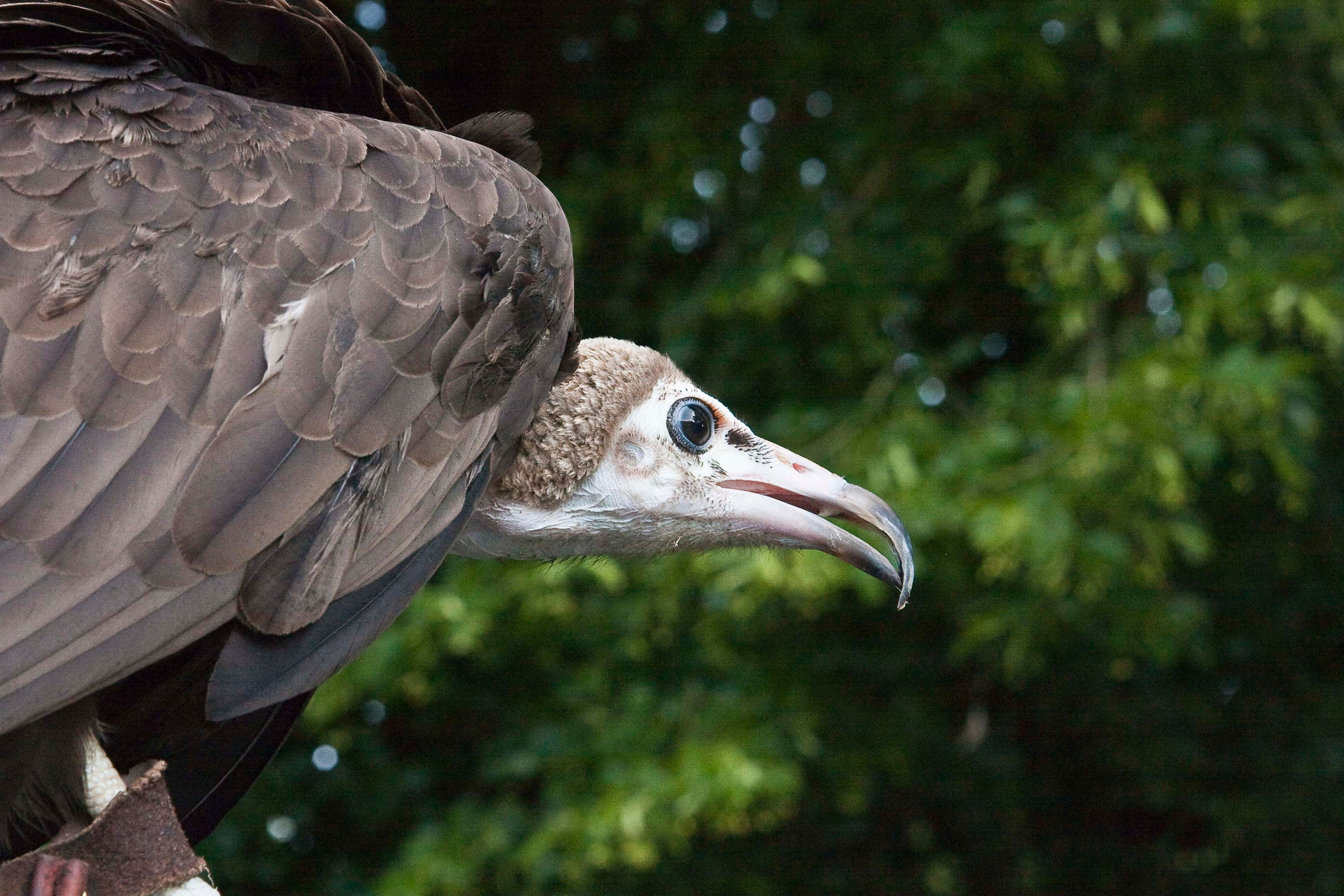Wildpark Tambach. FOTO KREATIV