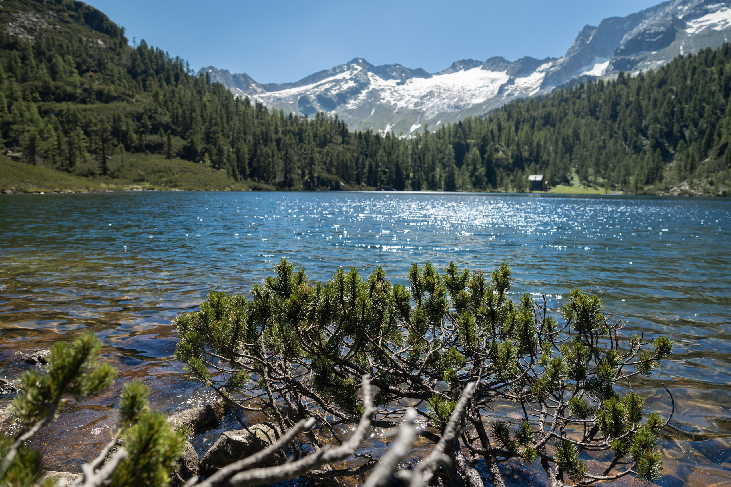 Bewunderung. Guzel Kolobova| Fotografin| Salzburg