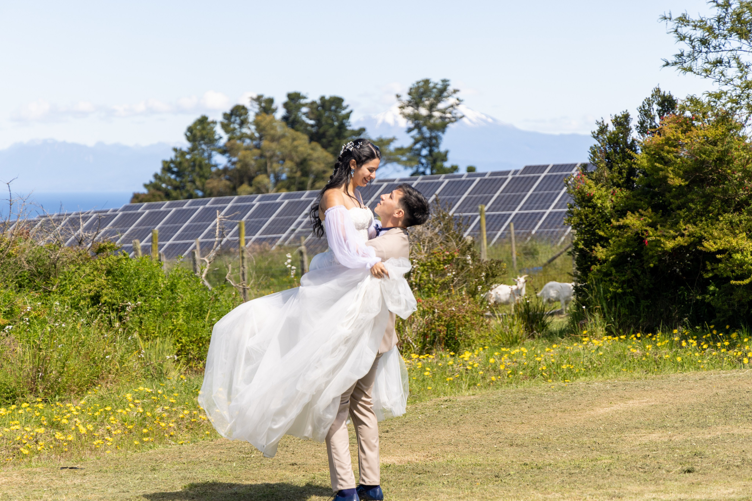 Carol & Ivo. Dinka & Emilio - El arte de preservar lo que no se repite